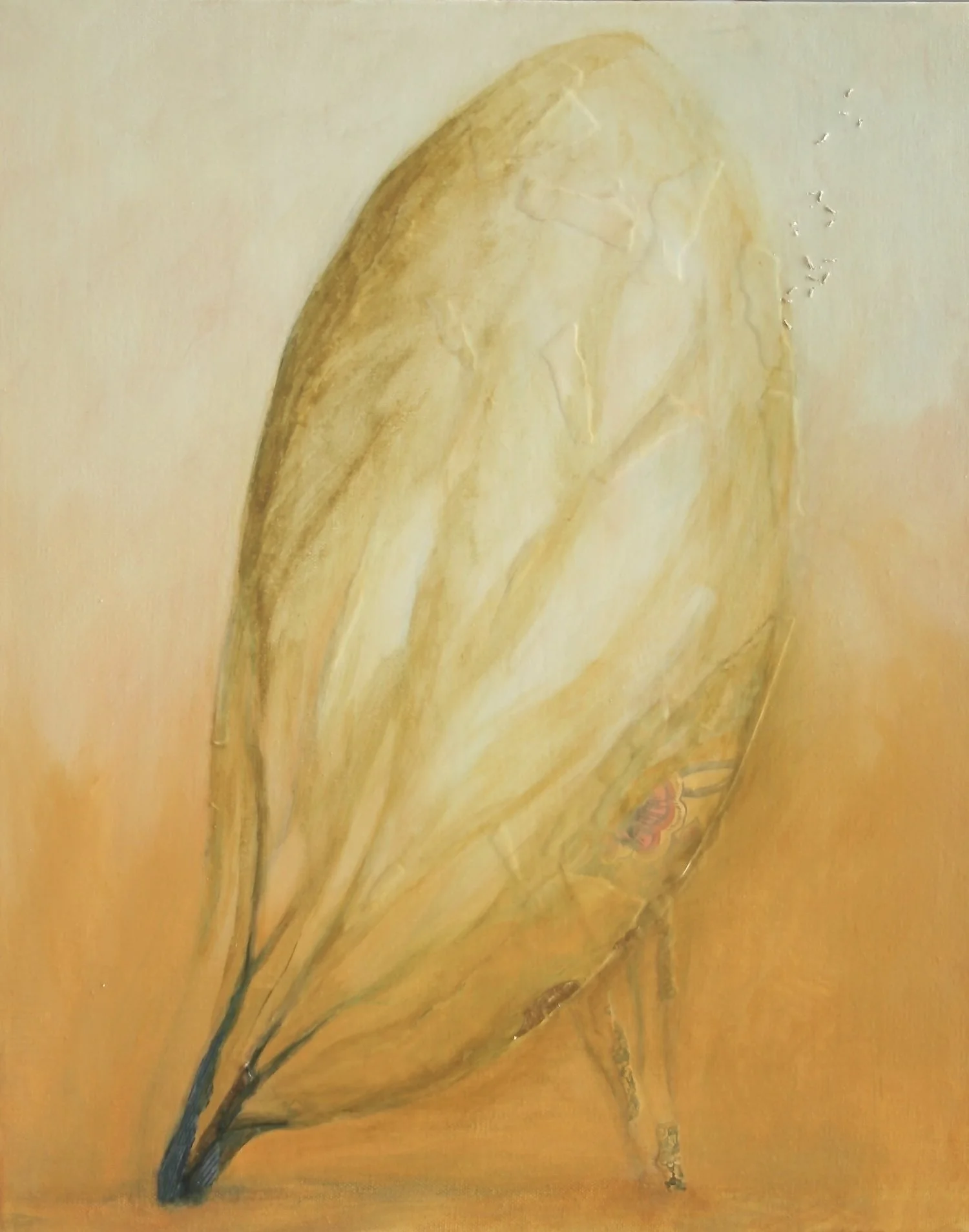 Field Notes II by Kate Norris.jpeg