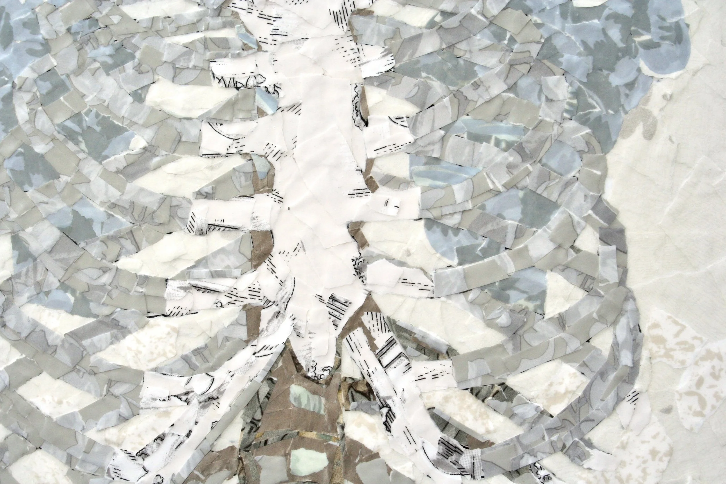 detail_02_BB by Kate Norris.JPG