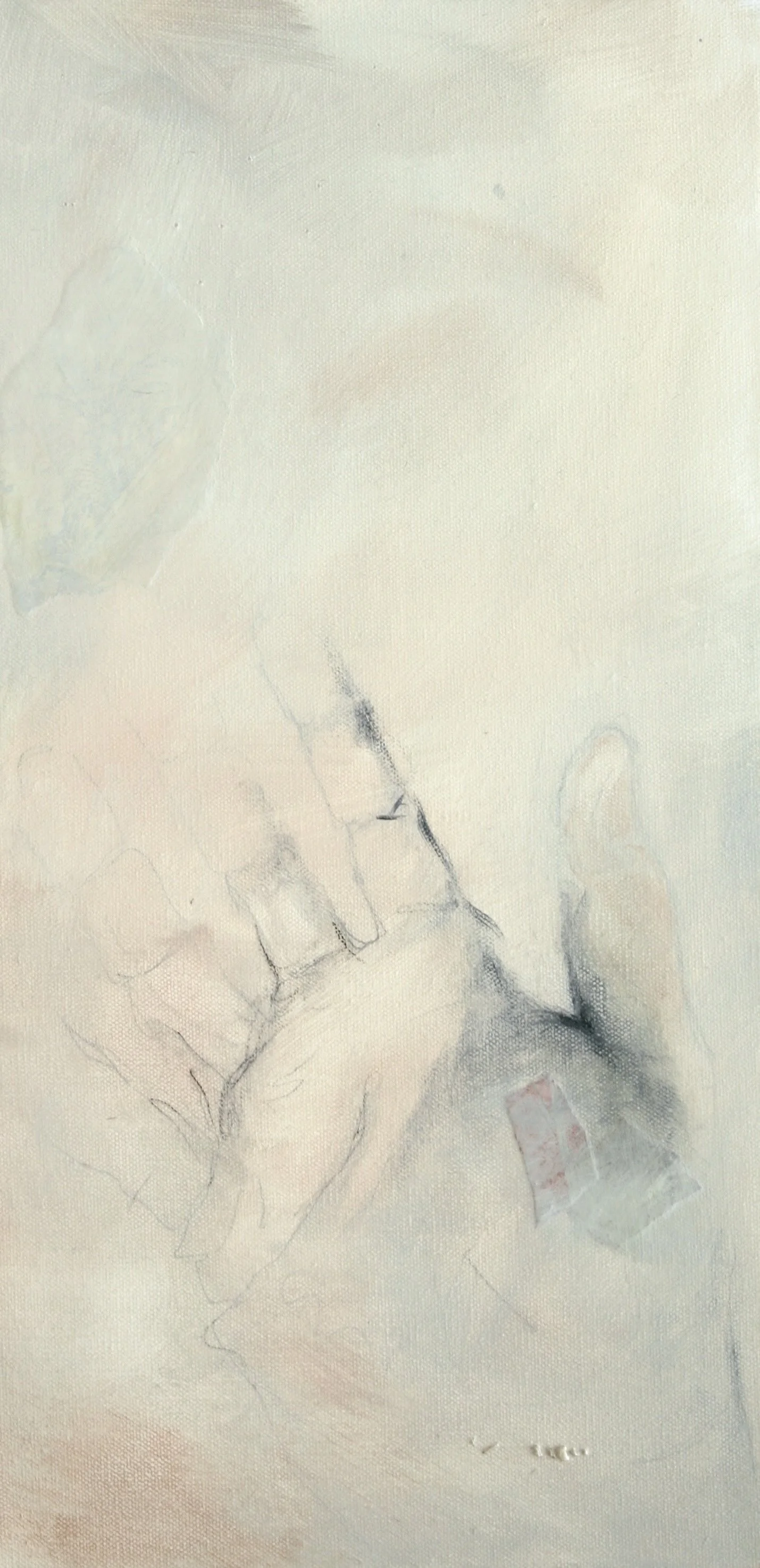 Field Notes VII by Kate Norris.jpeg