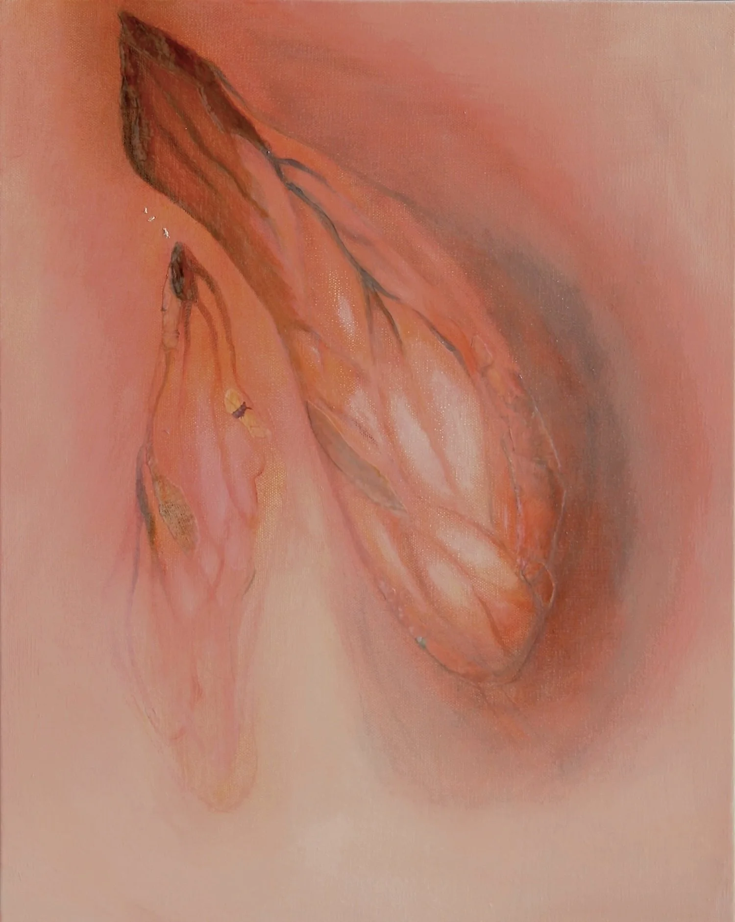 Field Notes III by Kate Norris.jpeg