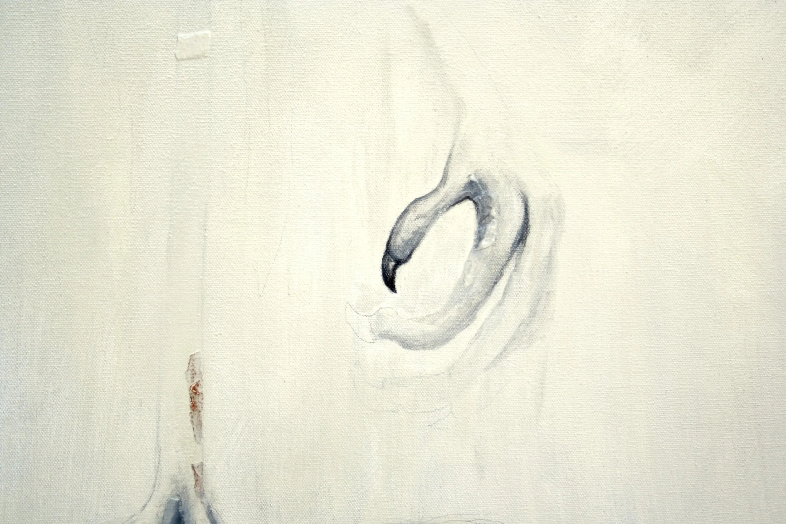 detail_02_Threshold by Kate Norris.JPG