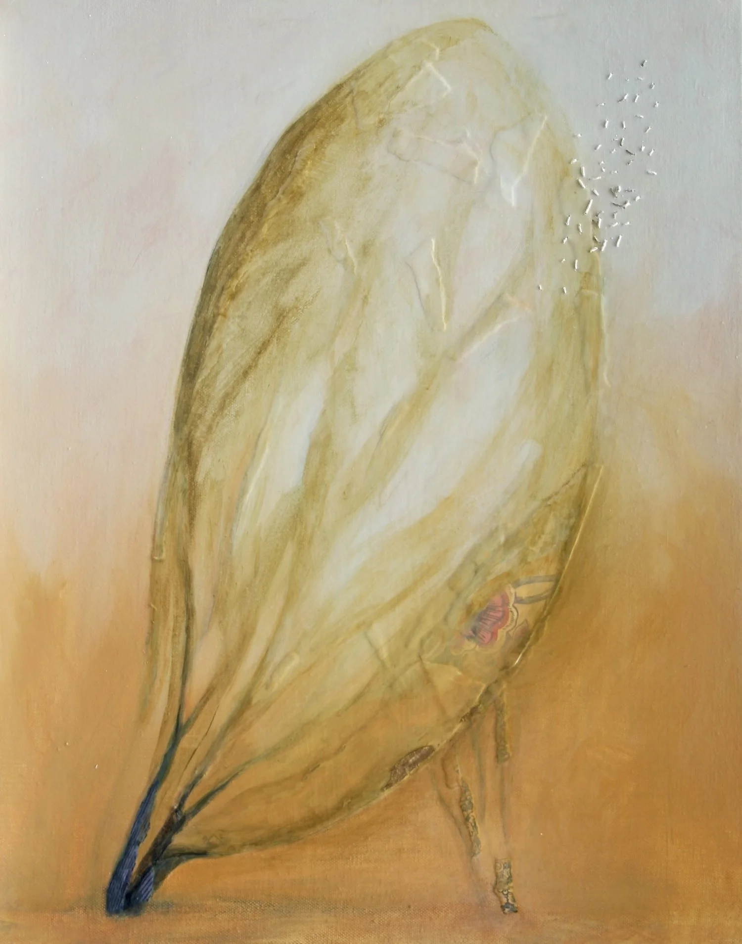 field Notes II_Persistence by Kate Norris.jpeg