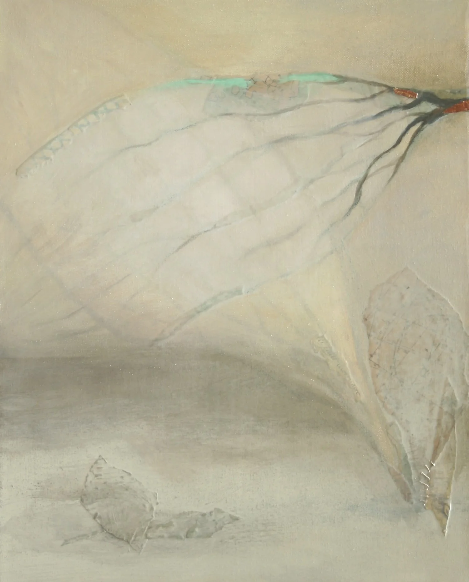 Field Notes IV by Kate Norris.jpeg