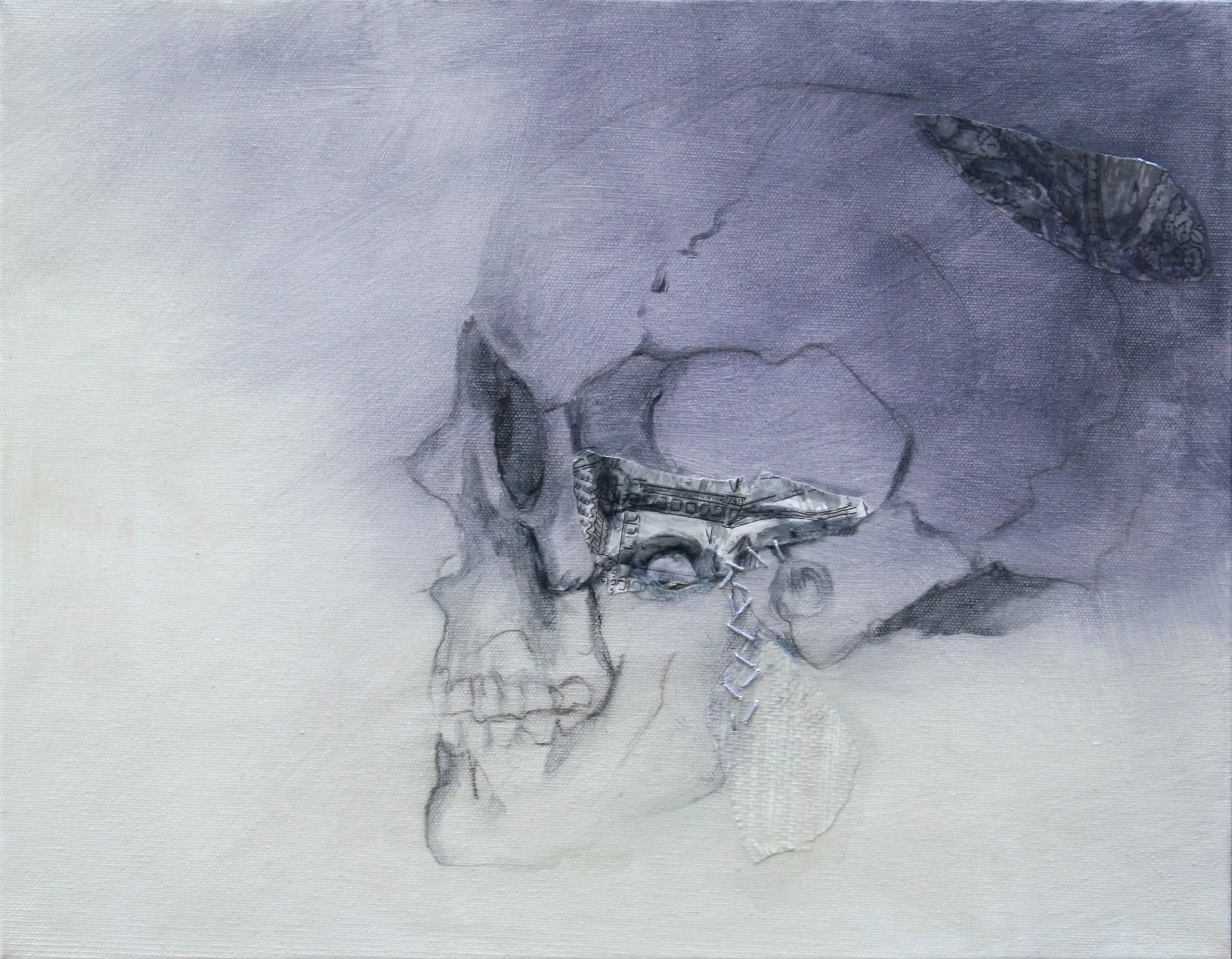 Field Notes_Vestige by Kate Norris.jpeg