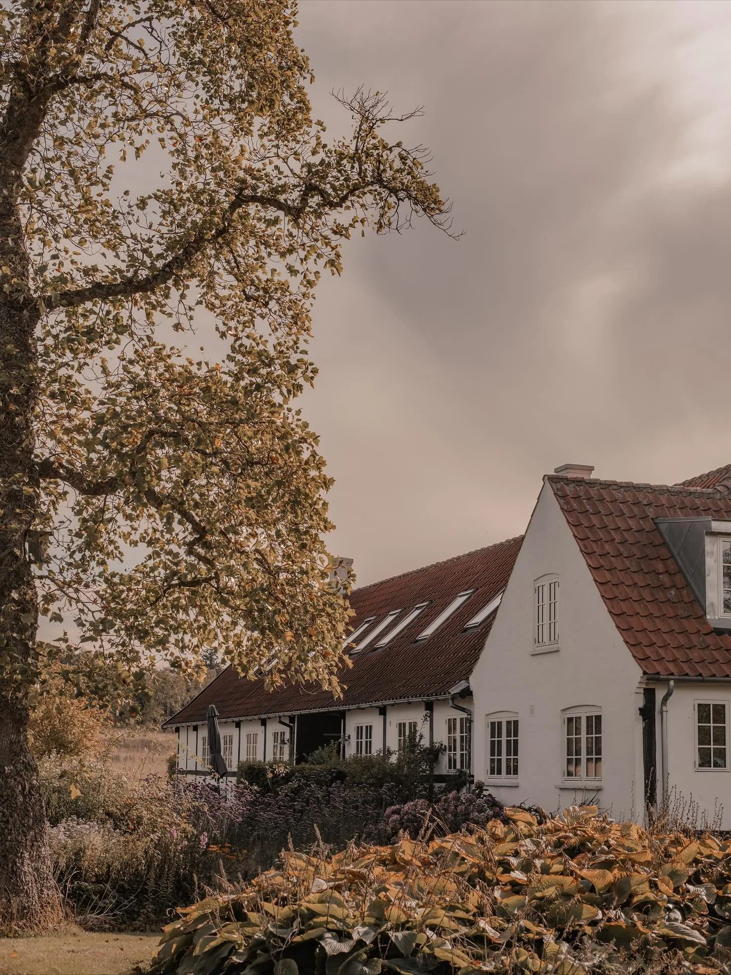 Tips p&aring; en mysig getaway i h&ouml;st! 🍂 🍁

Sommarsemester i all &auml;ra men vi f&aring;r inte gl&ouml;mma allt fint som h&ouml;sten b&auml;r med sig. Planerar du att bes&ouml;ka Bornholm i h&ouml;st och vill unna dig en fantastik hotellupple