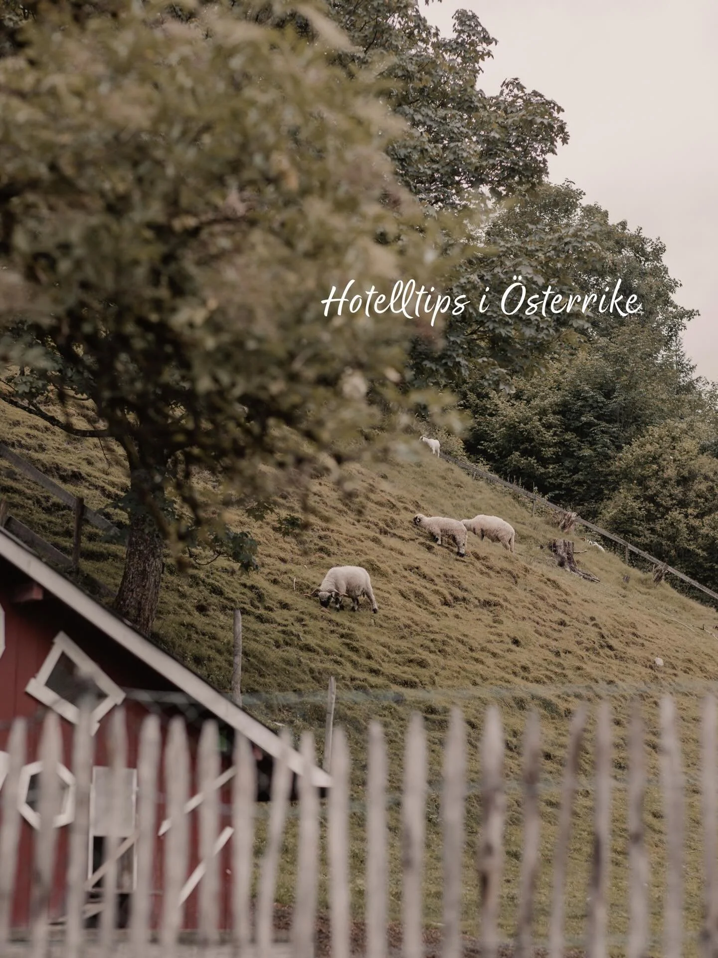 Dr&ouml;mmen f&ouml;r barnfamiljen i &Ouml;sterrike! ✨

Vi blev helt f&ouml;r&auml;lskade i @hotelstadtwien &ndash; ett charmigt, familje&auml;gt 4-stj&auml;rnigt hotell mitt i sagolik natur i Zell am See. 🌲🏔️ Bara 5 minuters promenad till centrum 