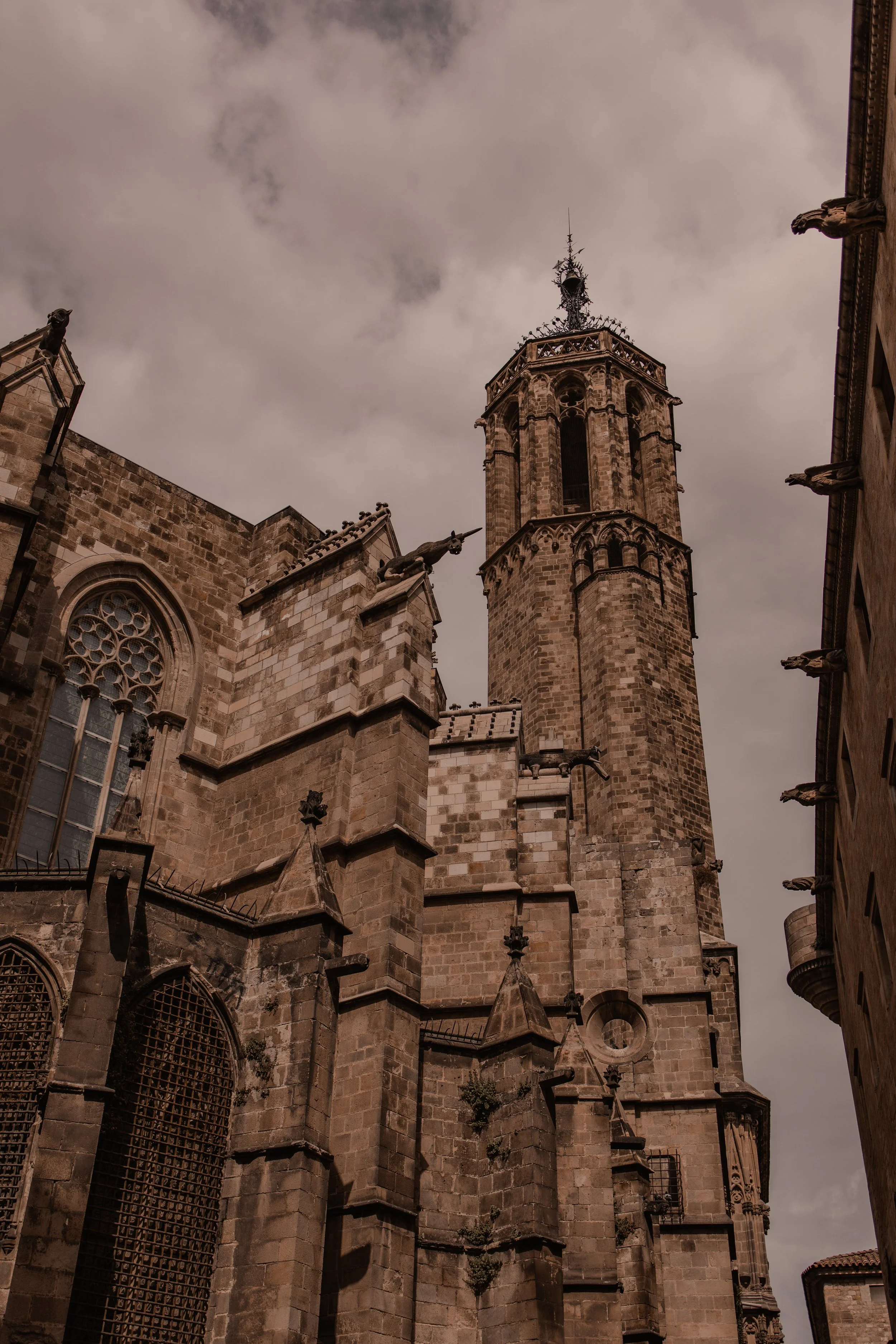 004A2315.jpg