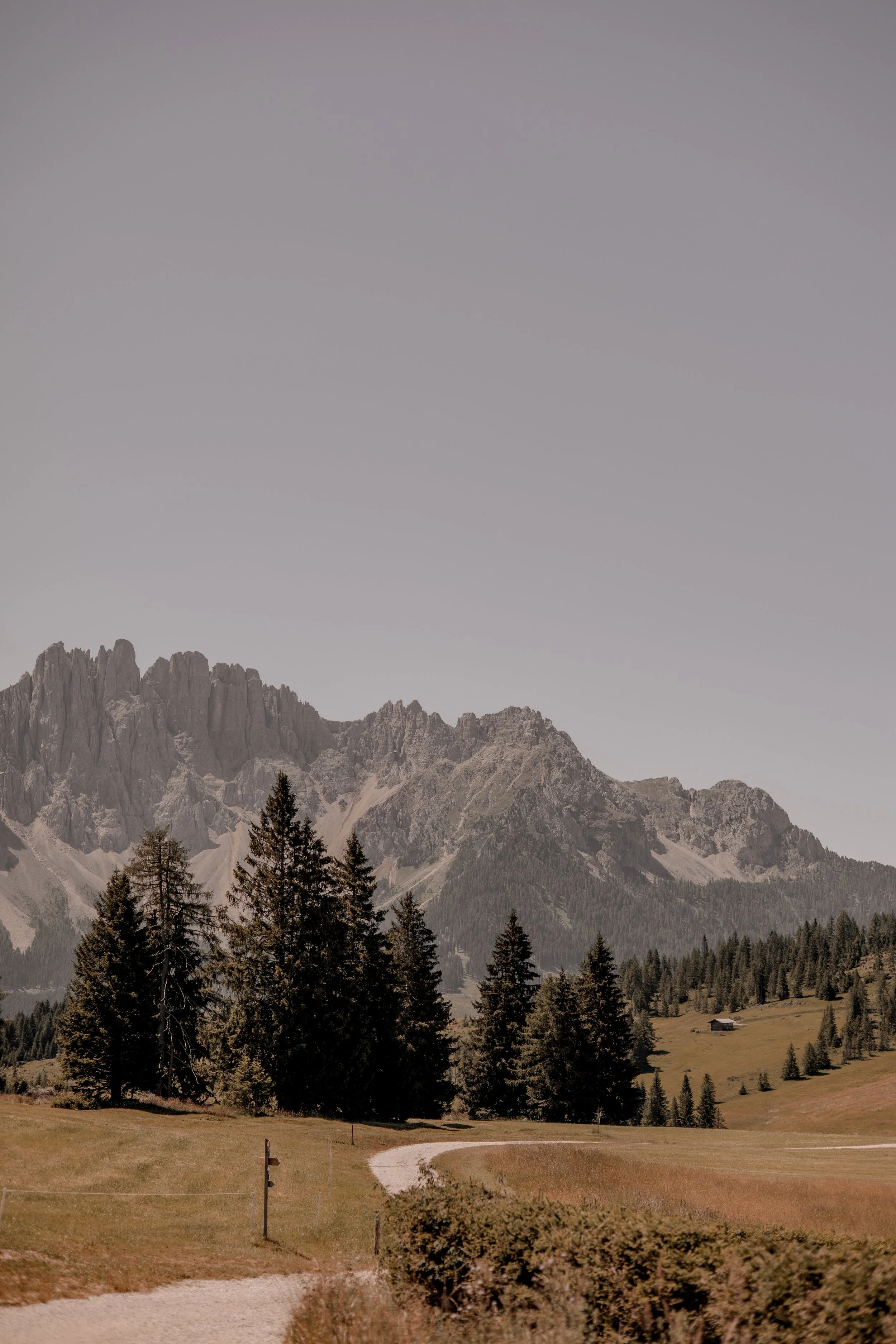 004A6106.jpg