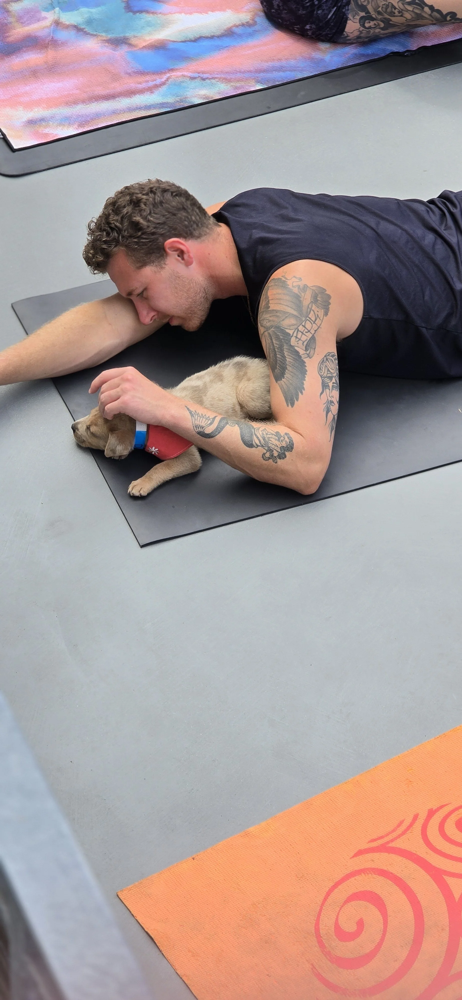 pup yoga.jpg