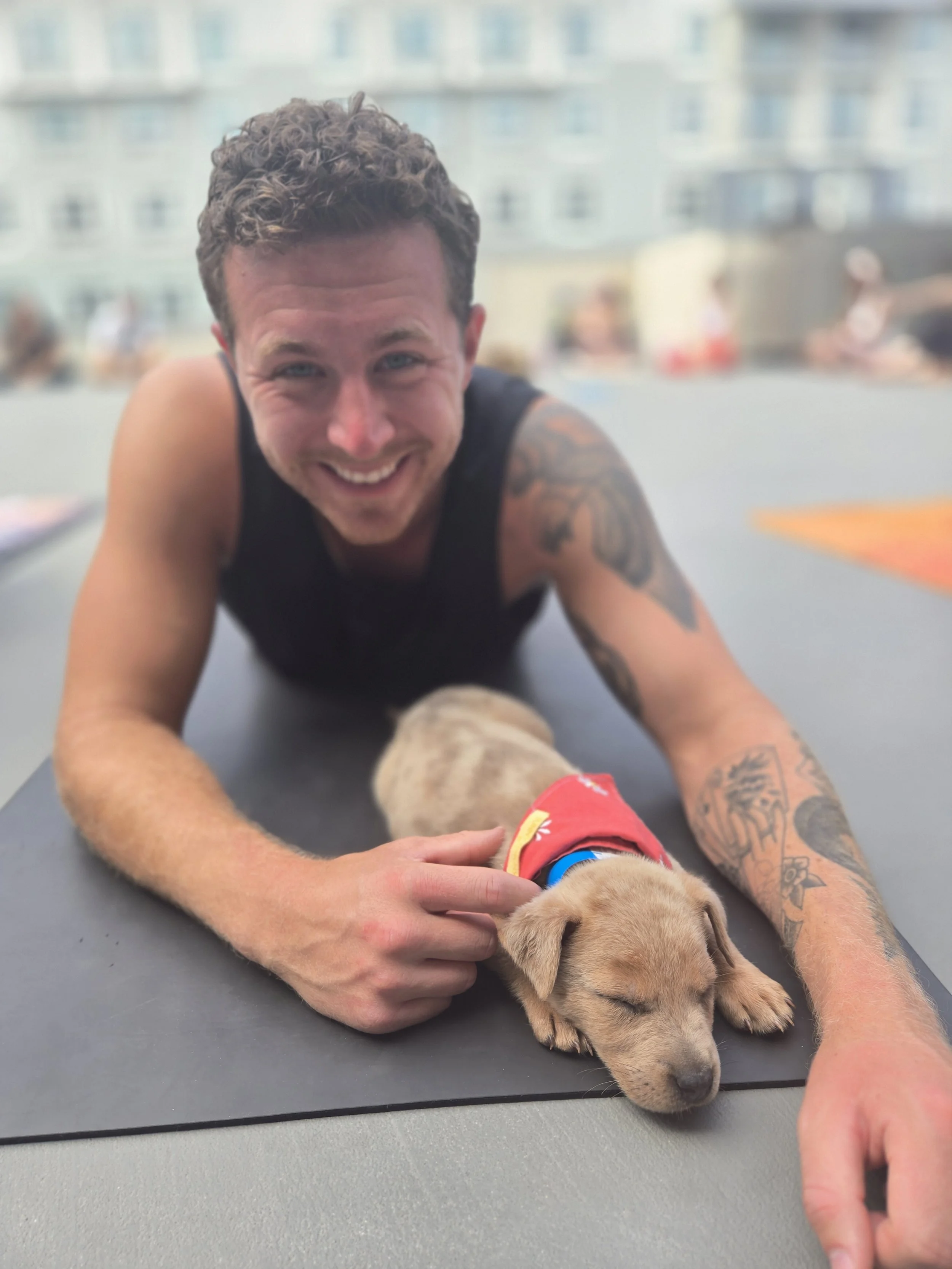 puppy yoga.jpg