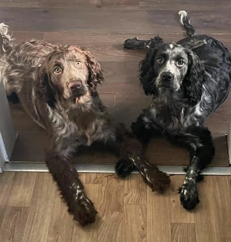 Chesney & Ollie cropped.jpg