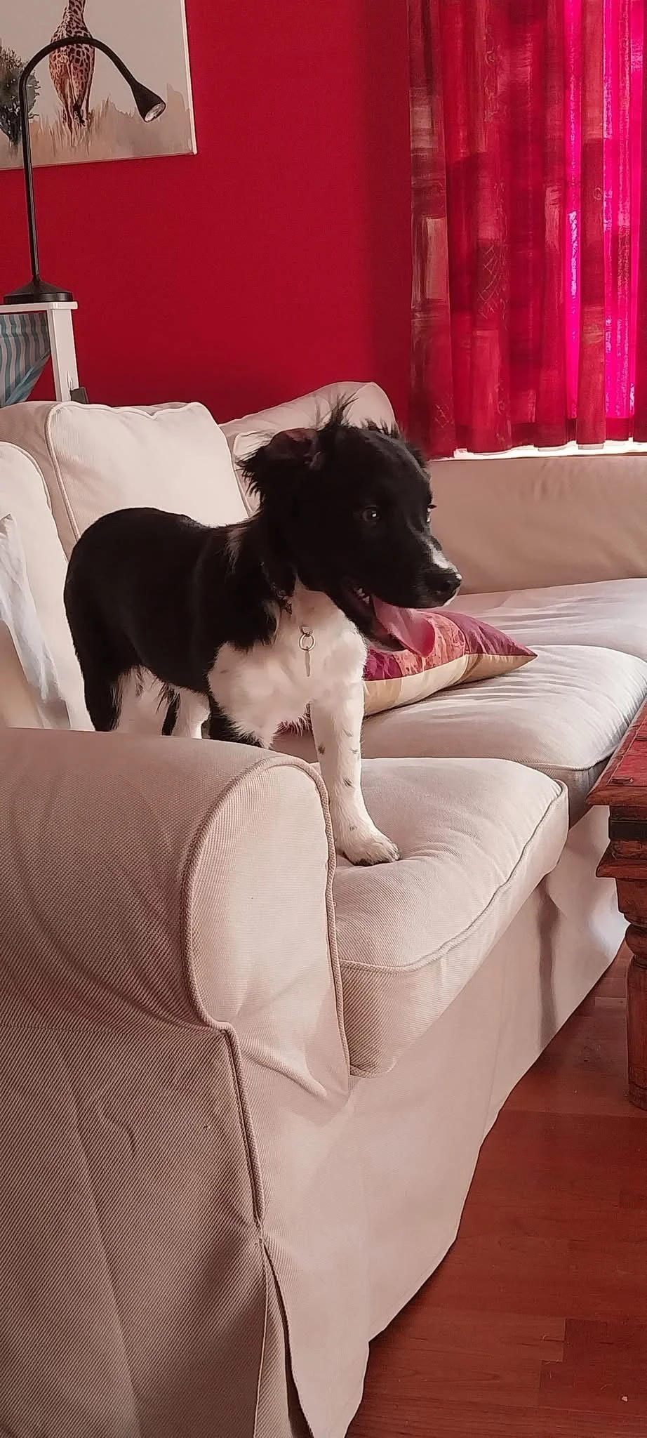 IMG_4492 (1).JPG (Copy)