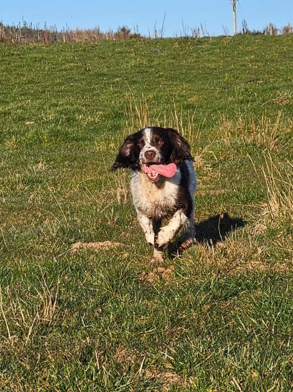 WhatsApp Image 2025-04-07 at 13.08.03_b3462e9b - Jo Pick.jpg