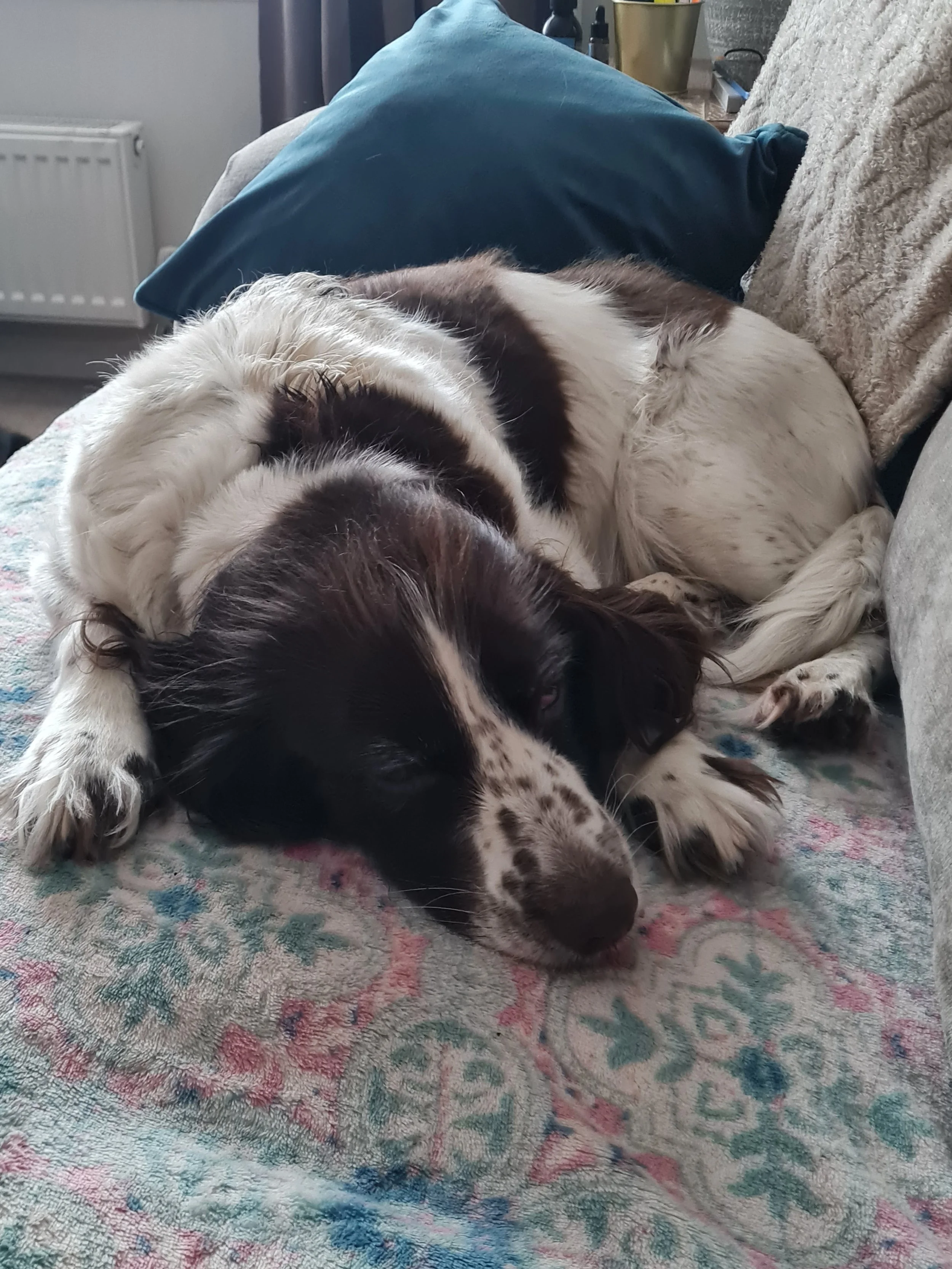 20250416_171046 - Mandy Wilkinson.jpg