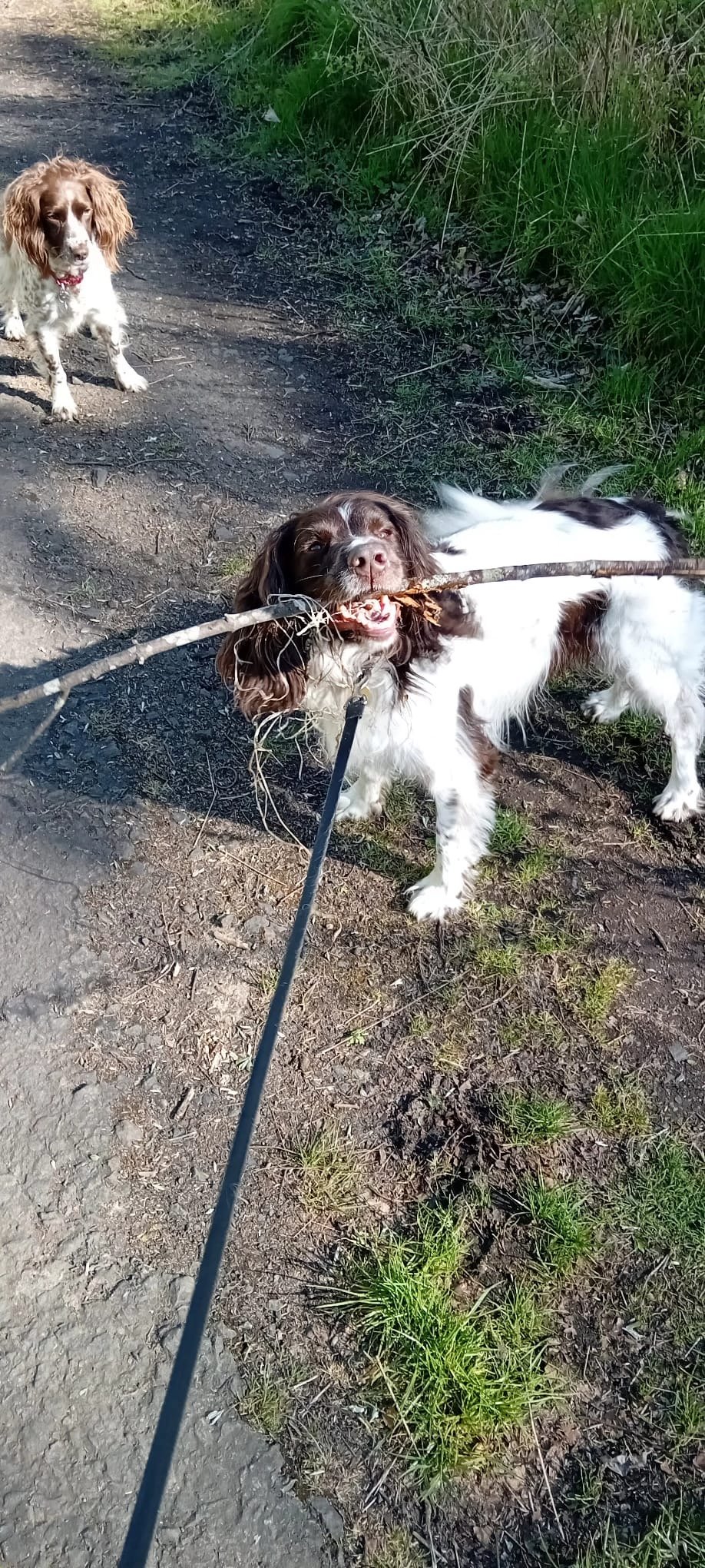 f40c4bcb-7c62-448d-9a61-cef3f8e66fba - Mhairi Hay.jpeg