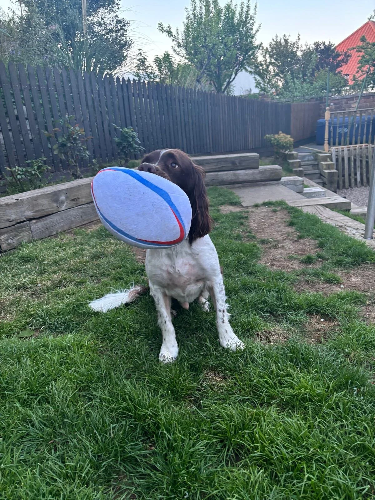 17ecefab-810e-4825-8ff1-e7e62c96afab - Mhairi Hay.jpeg