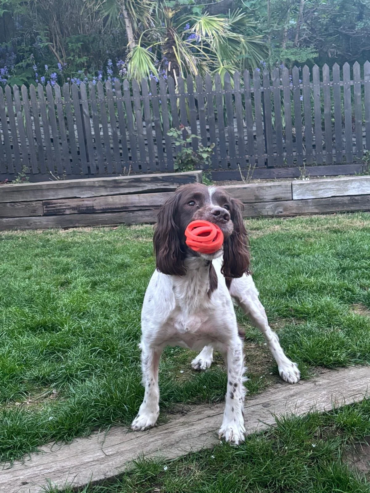 e659e654-8ef2-44e4-80fa-53d2502d3091 - Mhairi Hay.jpeg