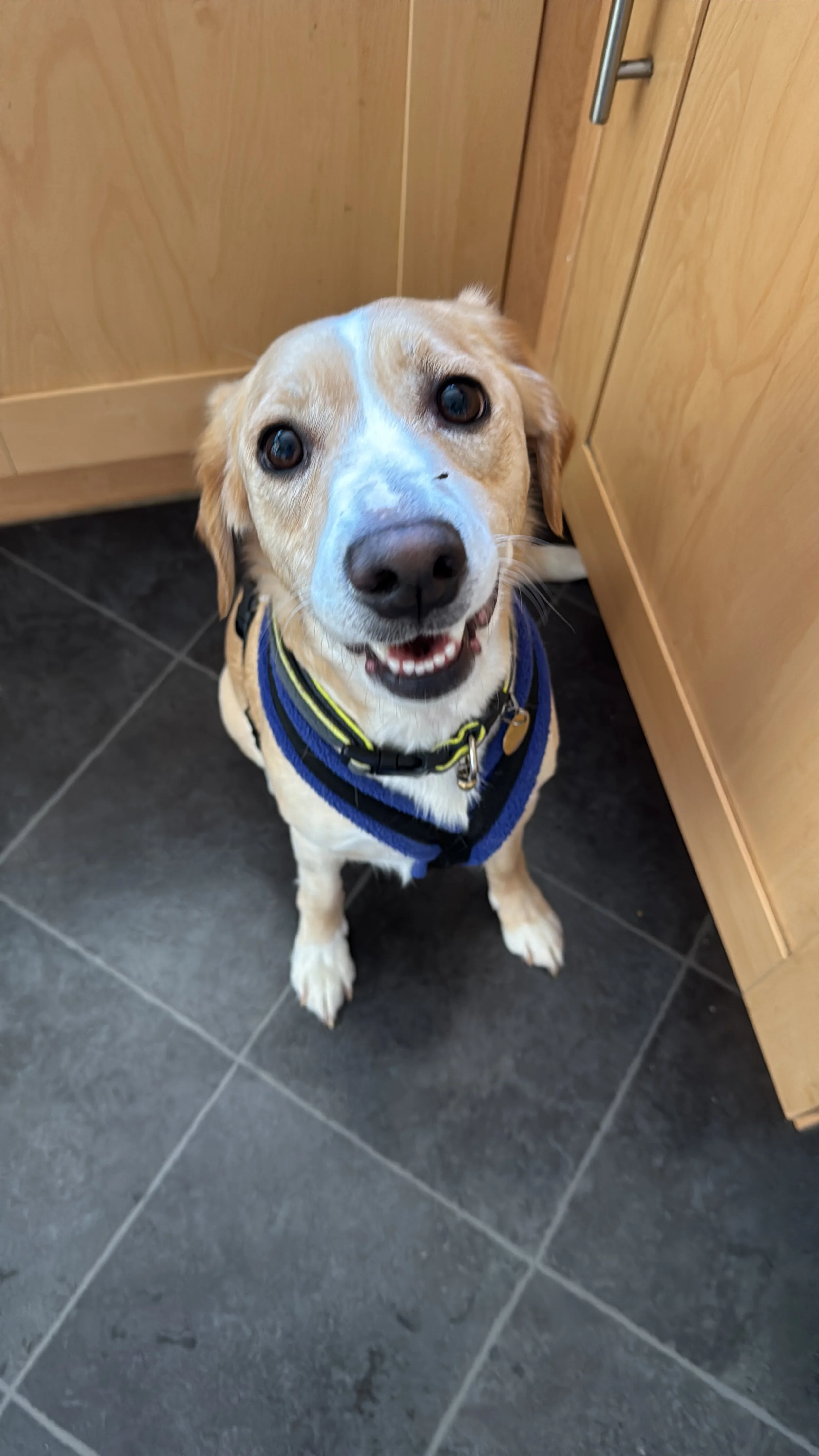 4D8EDC20-2E8D-4409-B21A-5D62F1245E4F - Jenny Wylie.JPG