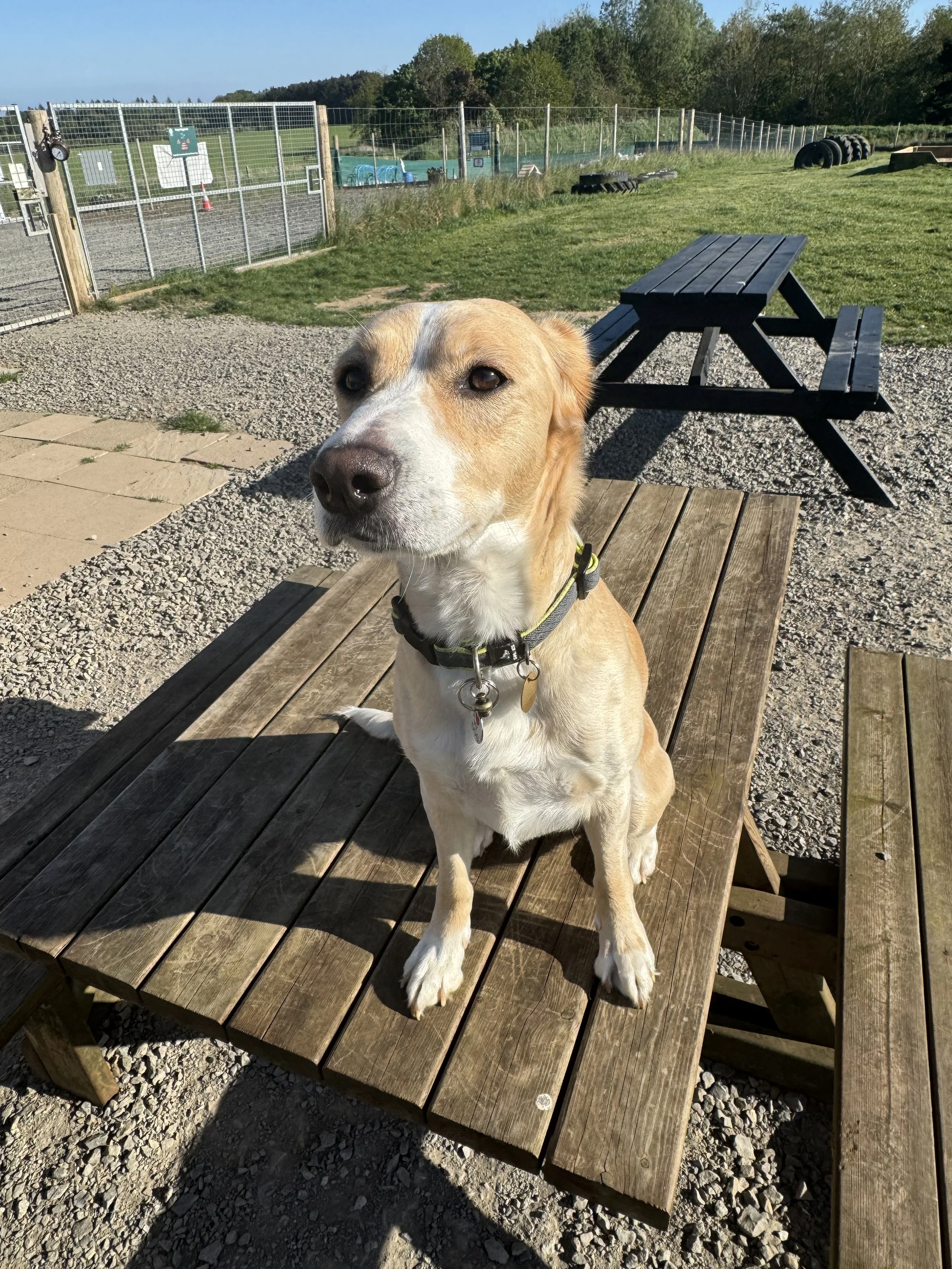 IMG_1634 - Jenny Wylie.jpg