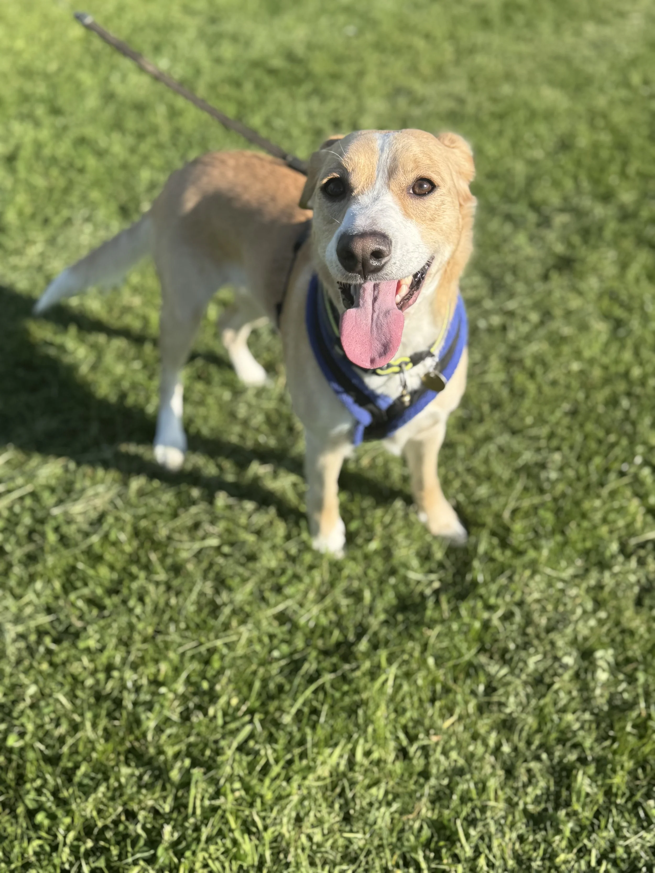 IMG_1606 - Jenny Wylie.jpg