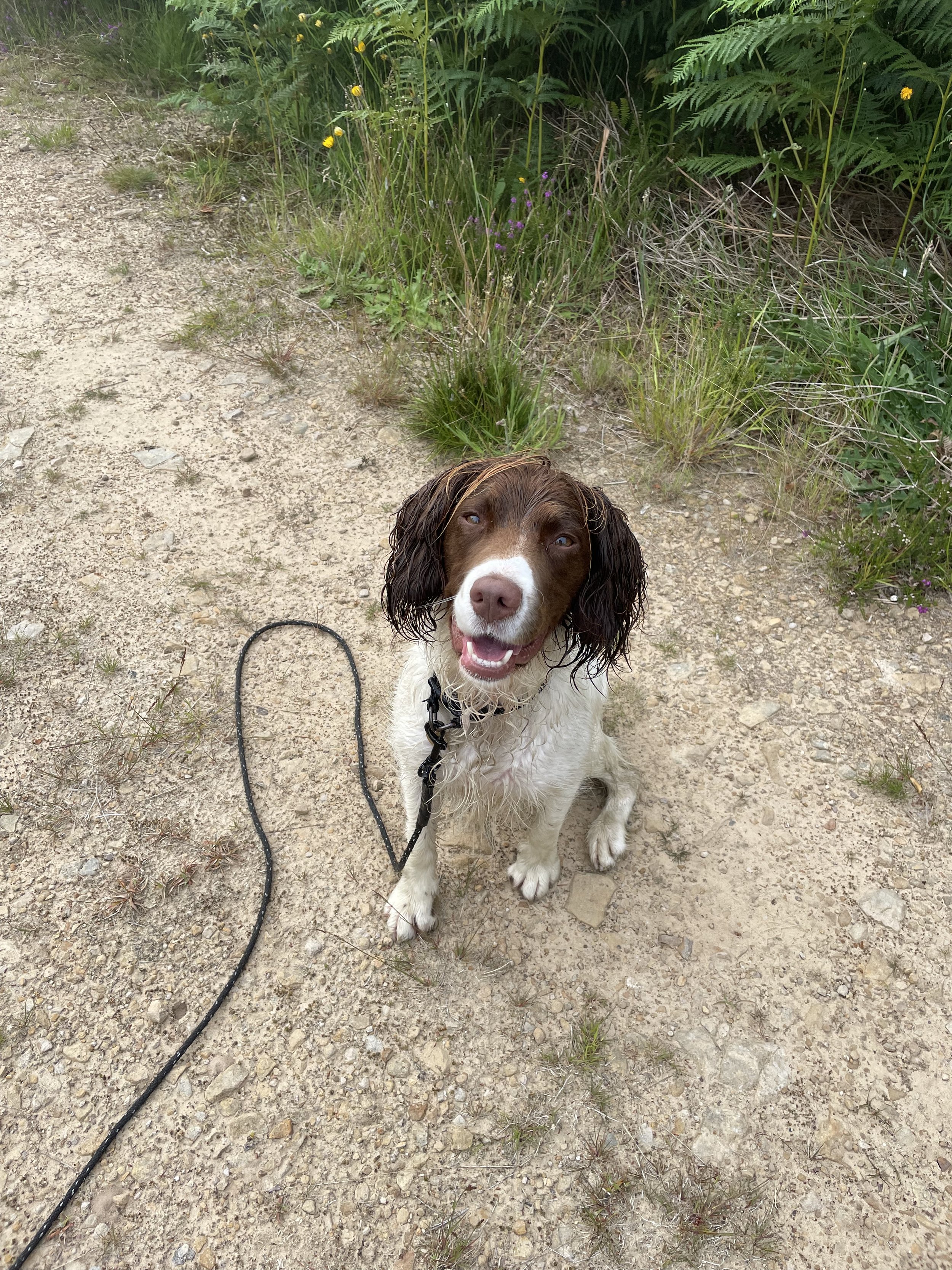 IMG_3848 - Borders SRS.jpeg