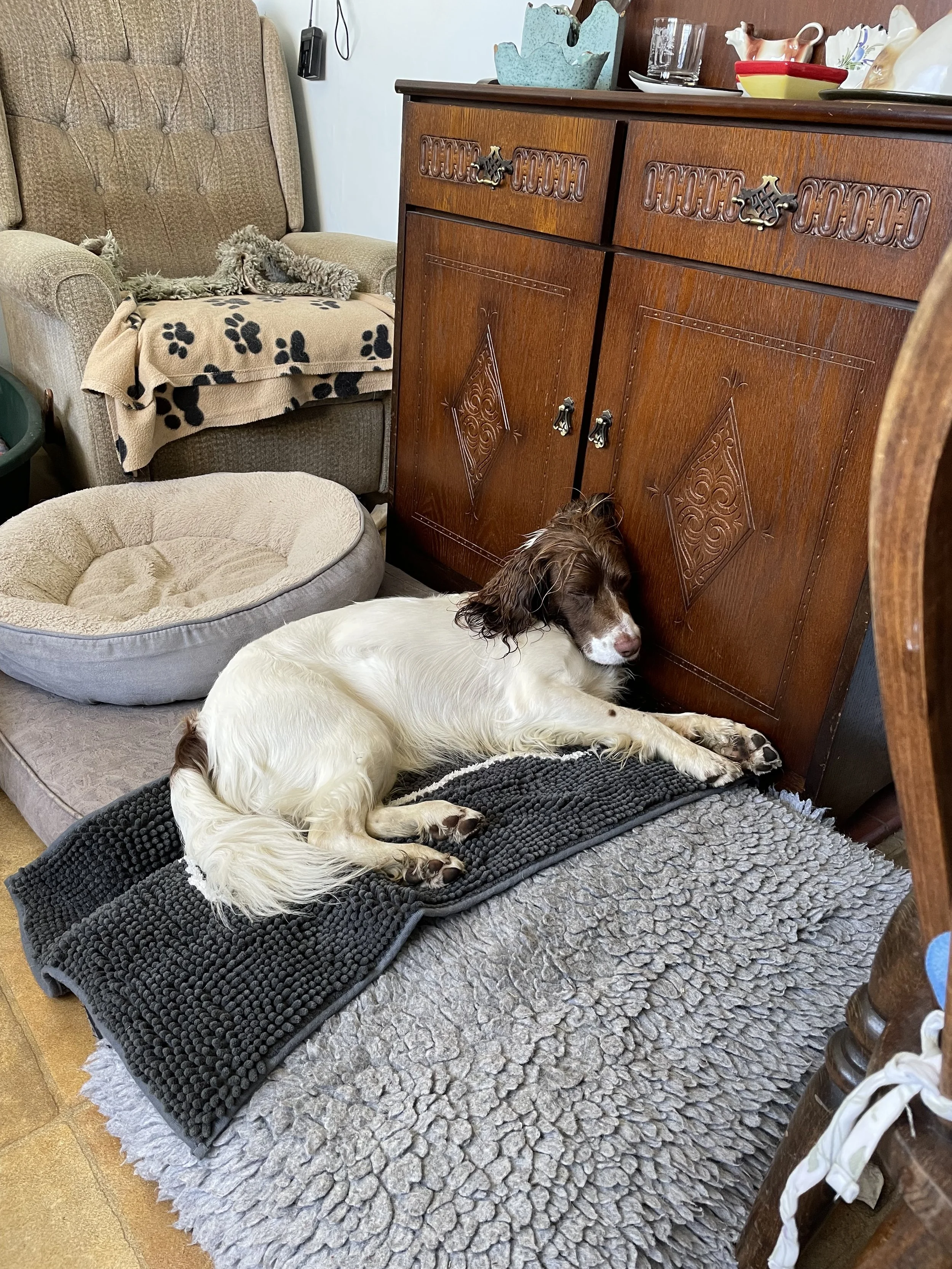 IMG_3830 - Borders SRS.jpeg