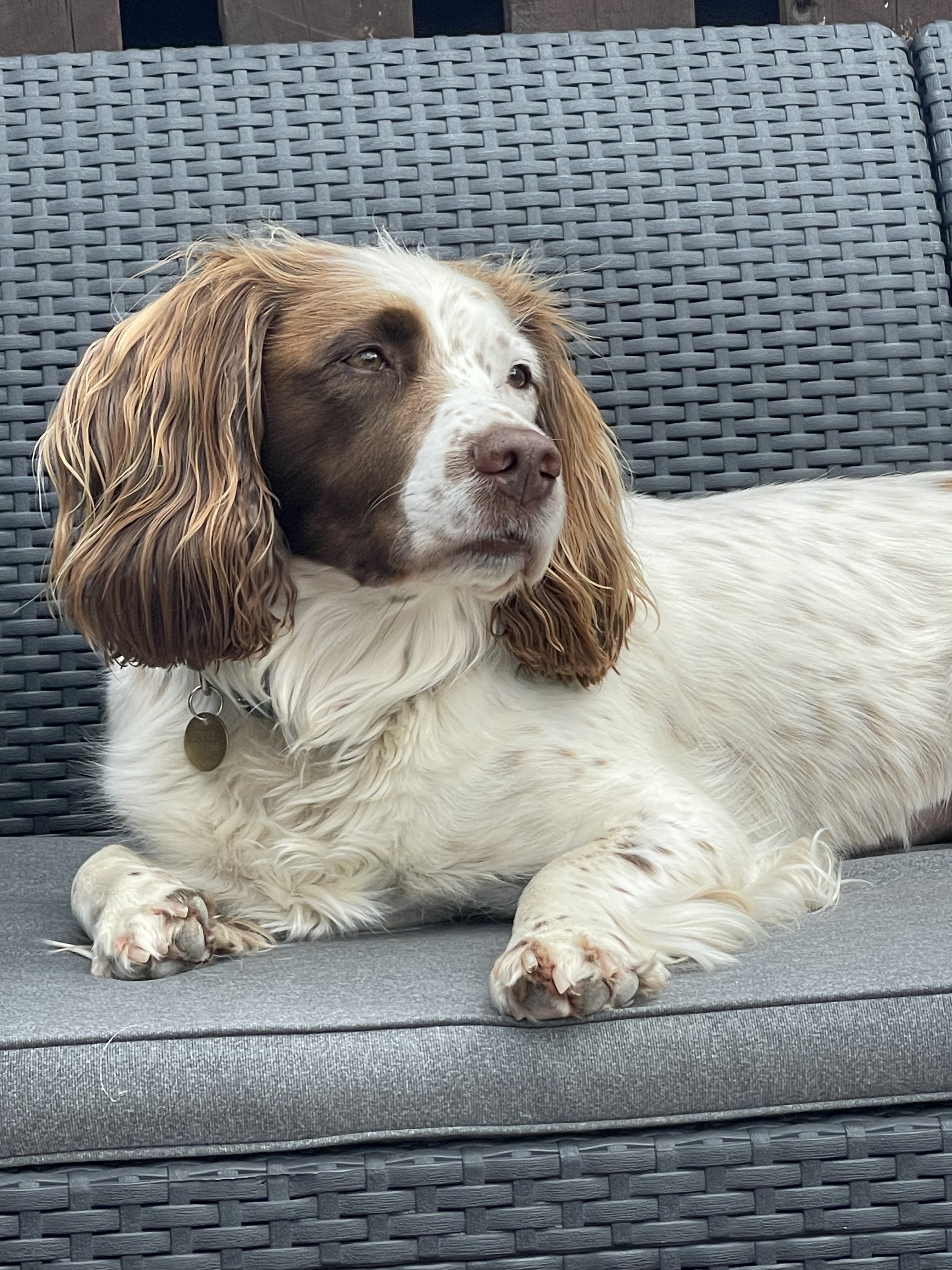 IMG_3683 - Elizabeth Jamieson.jpeg