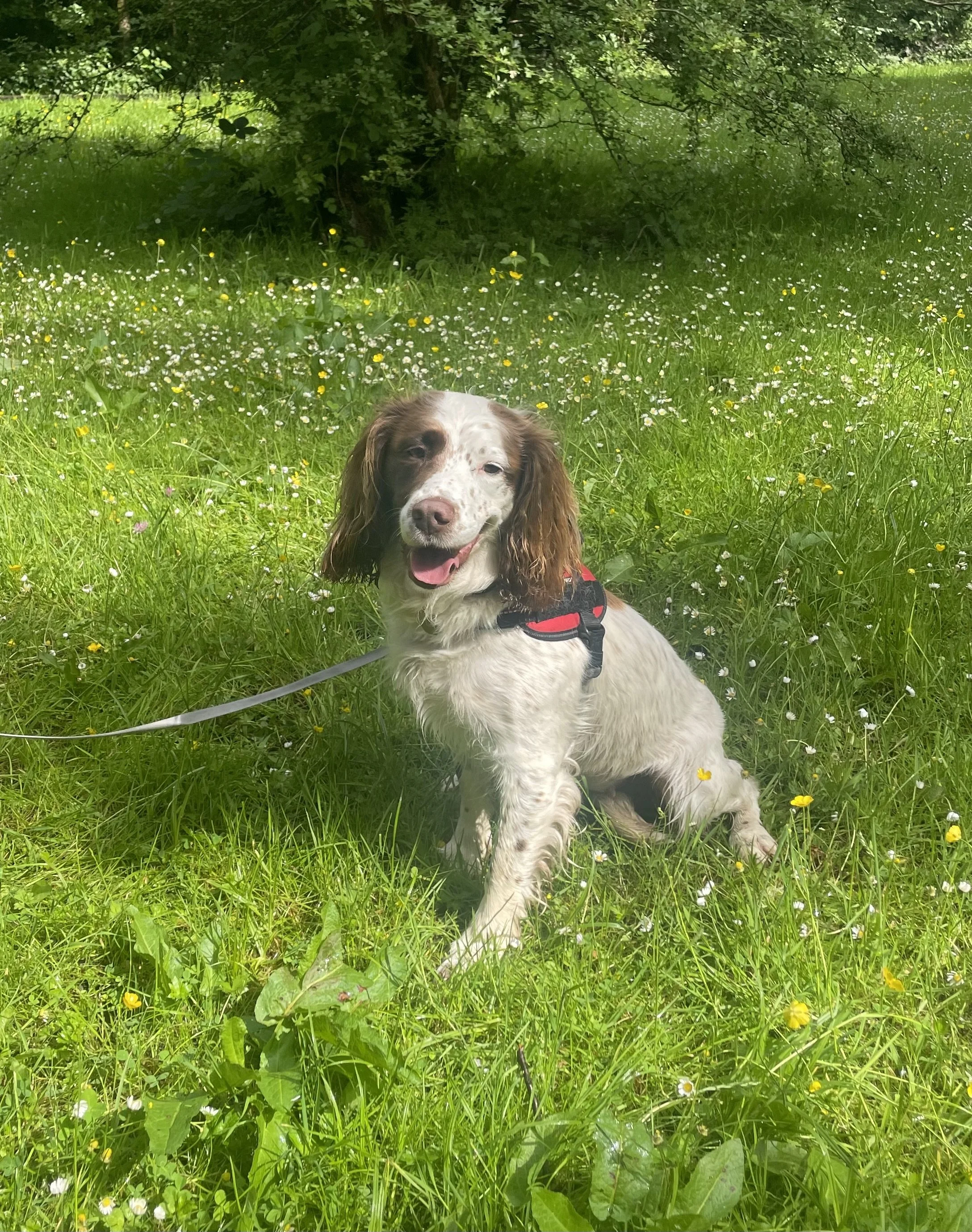 IMG_3740 - Elizabeth Jamieson.jpeg