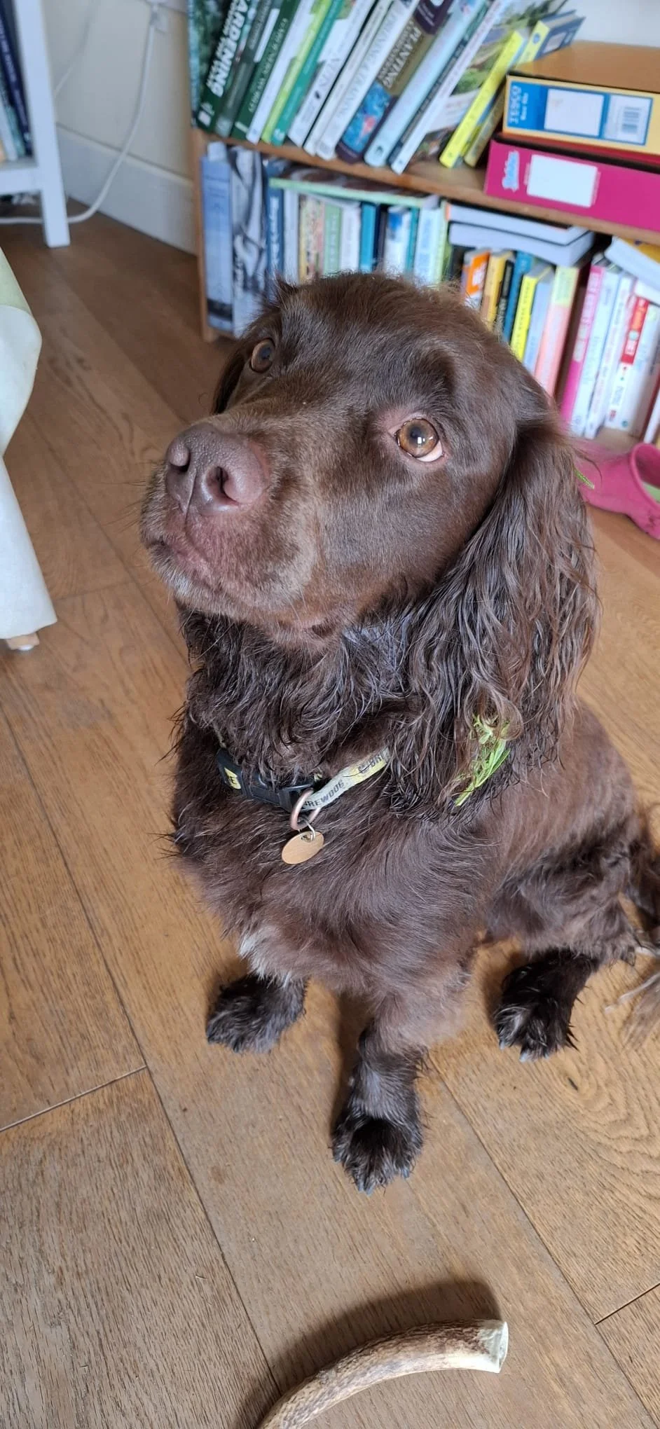 WhatsApp Image 2025-06-06 at 10.35.57_3a17bc5f - Lindsay.jpg