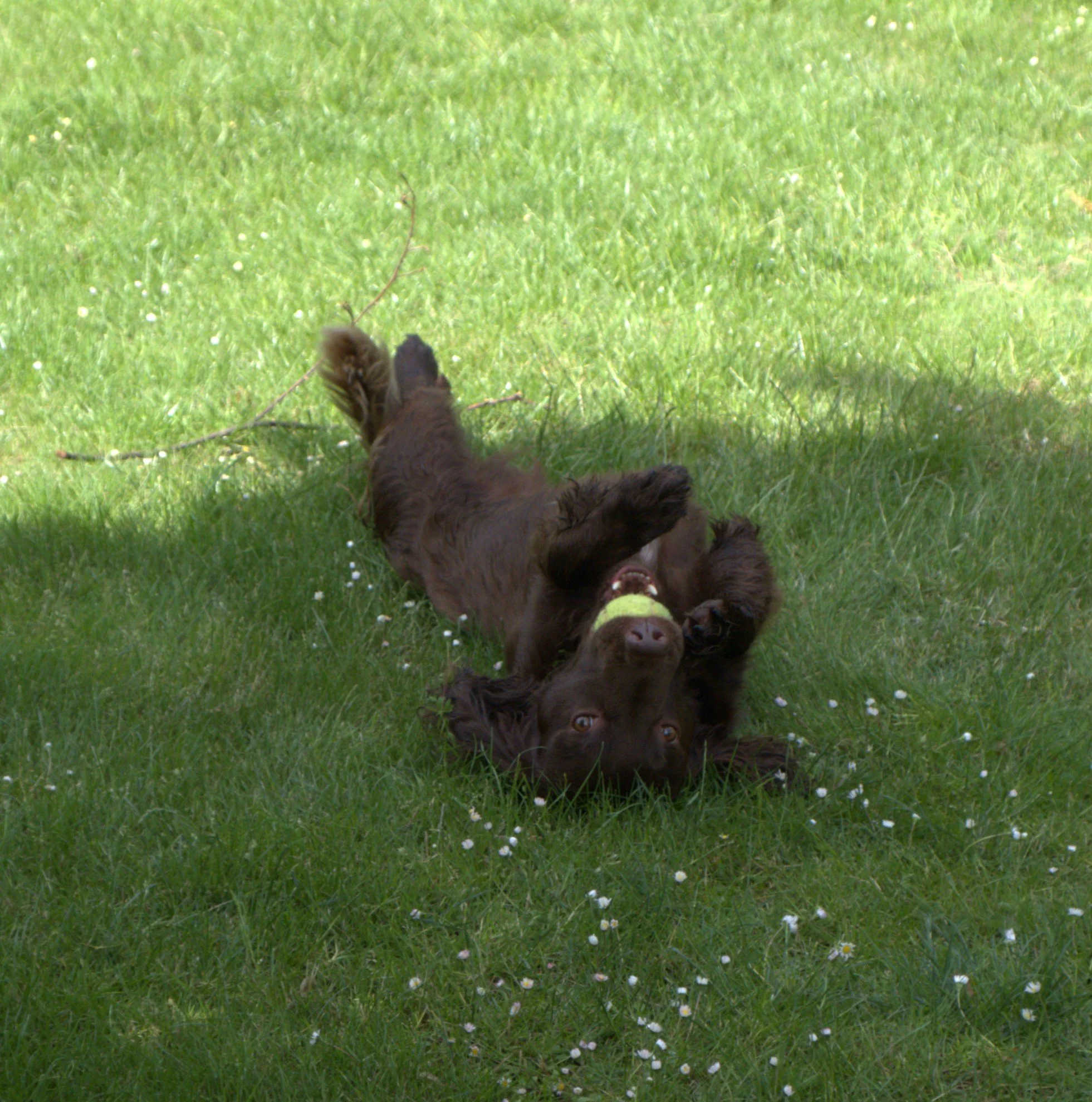 DSCF6117 - Lindsay.jpg