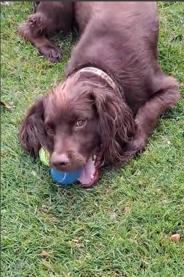 Screenshot (86) - Lindsay.png