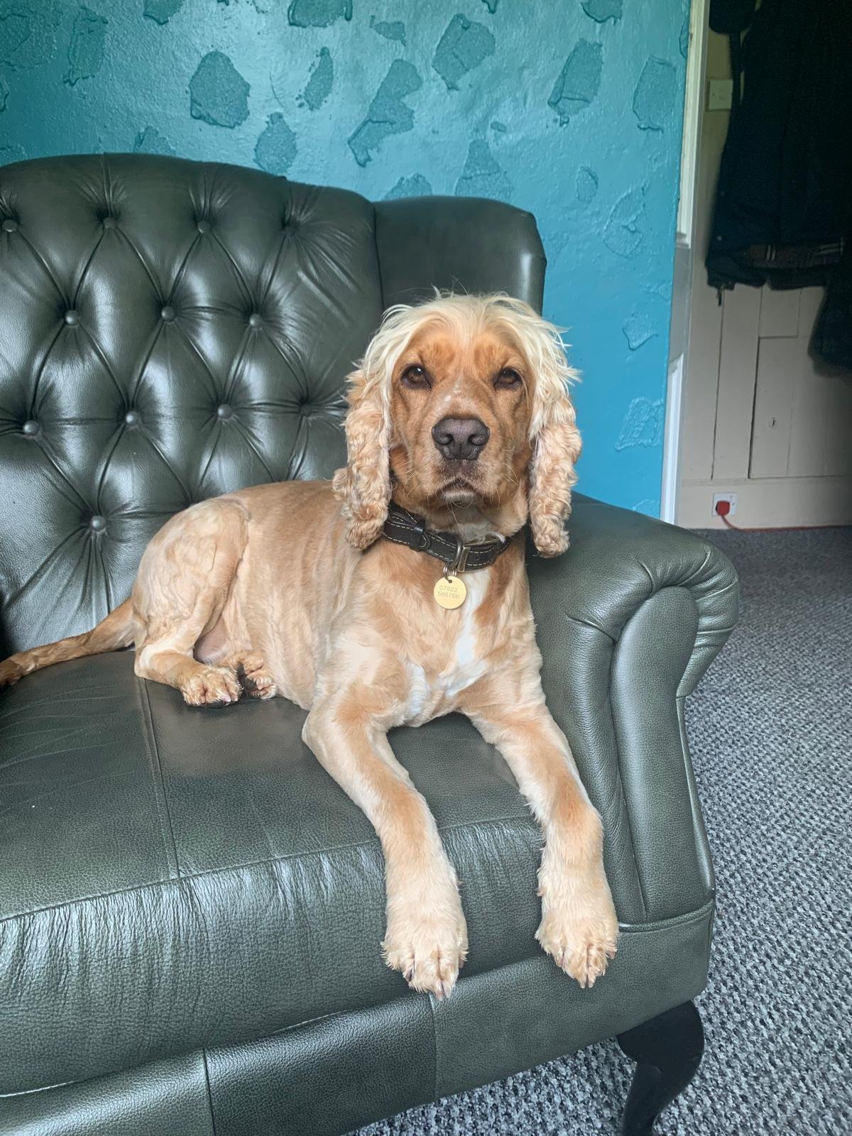 WhatsApp Image 2025-08-23 at 10.23.32_d6460eee - Gordon Hibbert.jpg