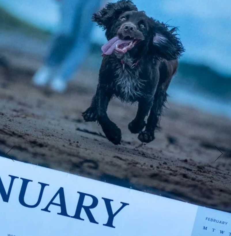 2026 Calendar On Sale Now!!