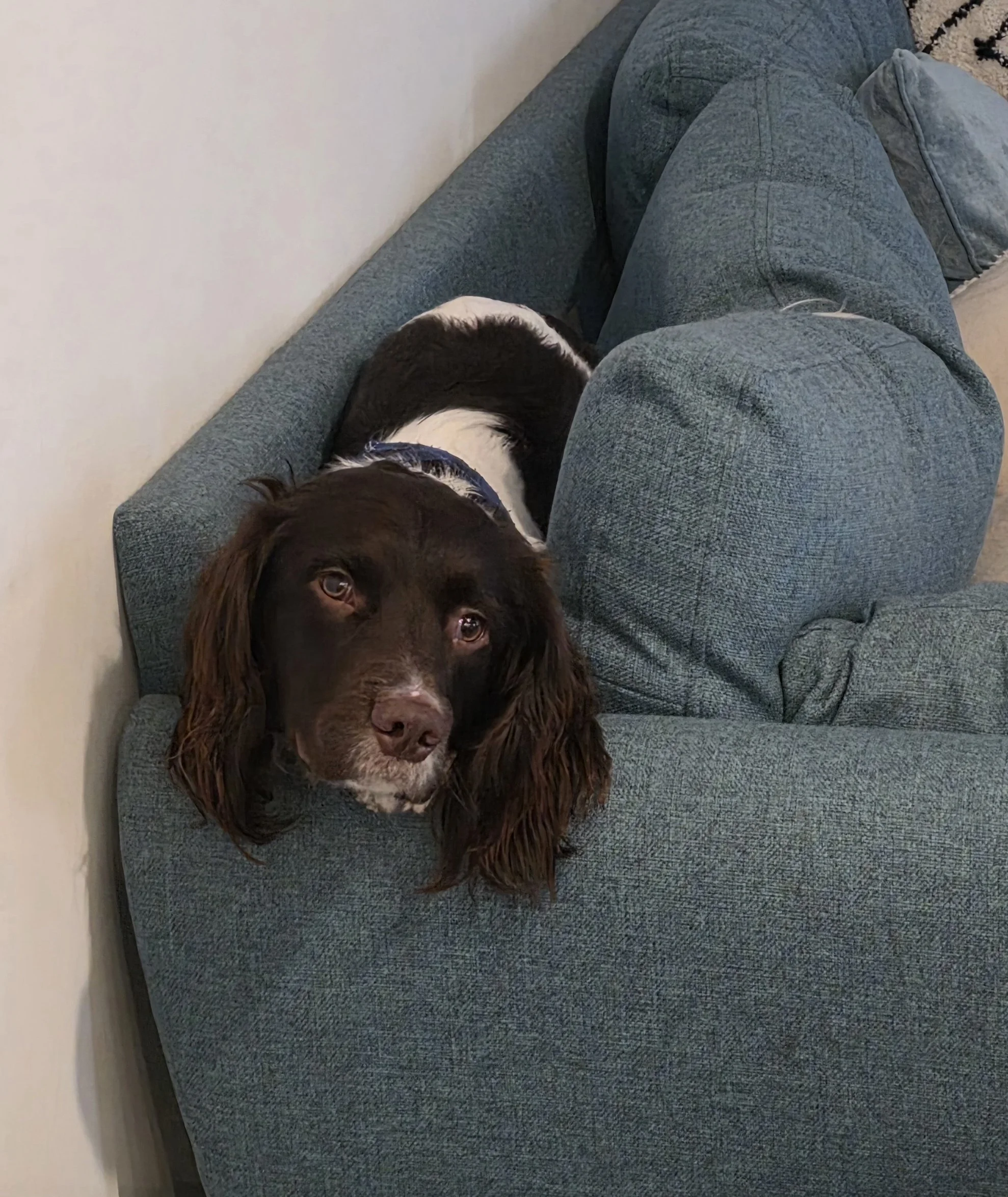 20260203_133732 (2).jpg