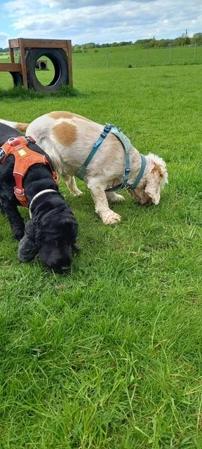 Percy and Floyd