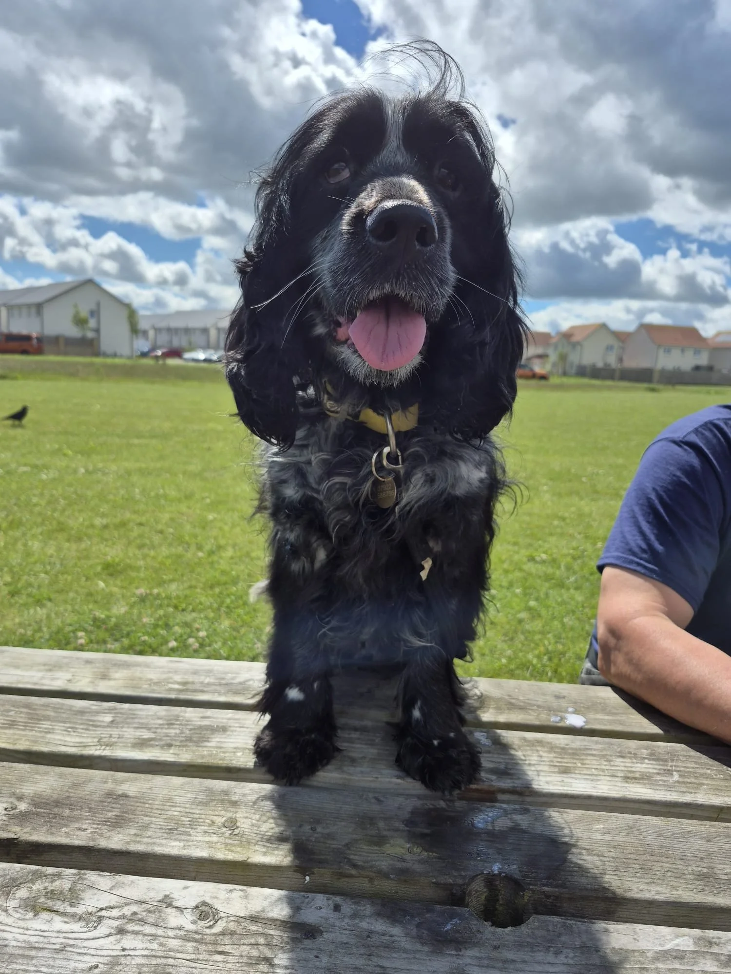 image0.jpeg