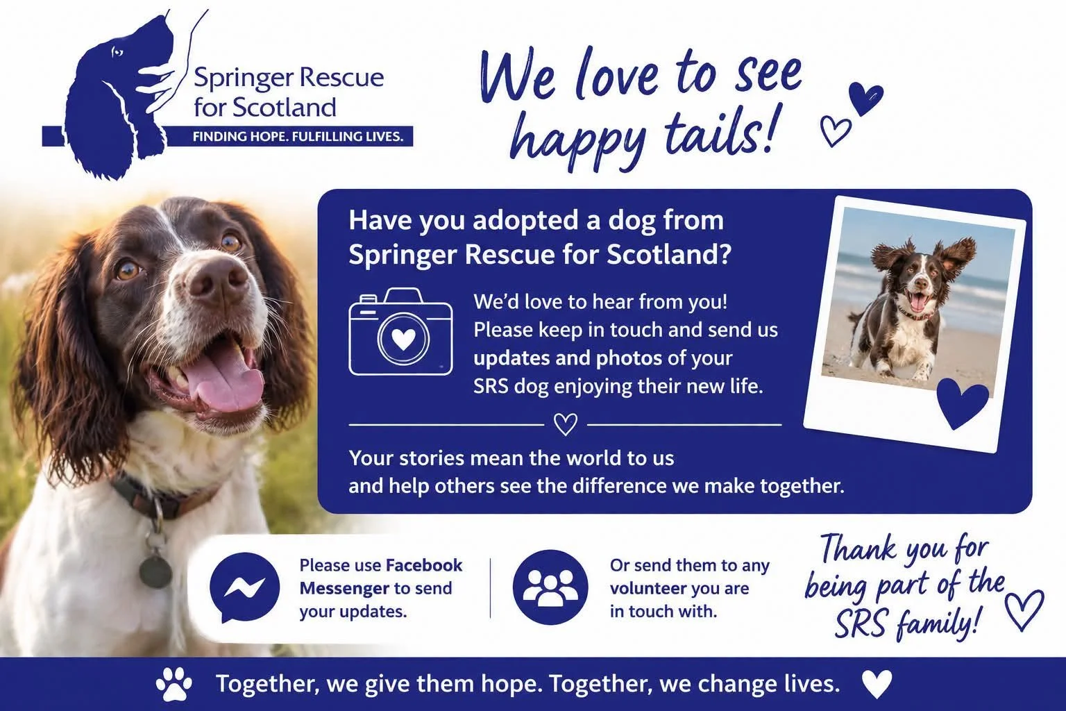 Adopted a dog from us?