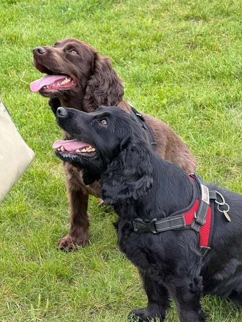 Molly and Lucy