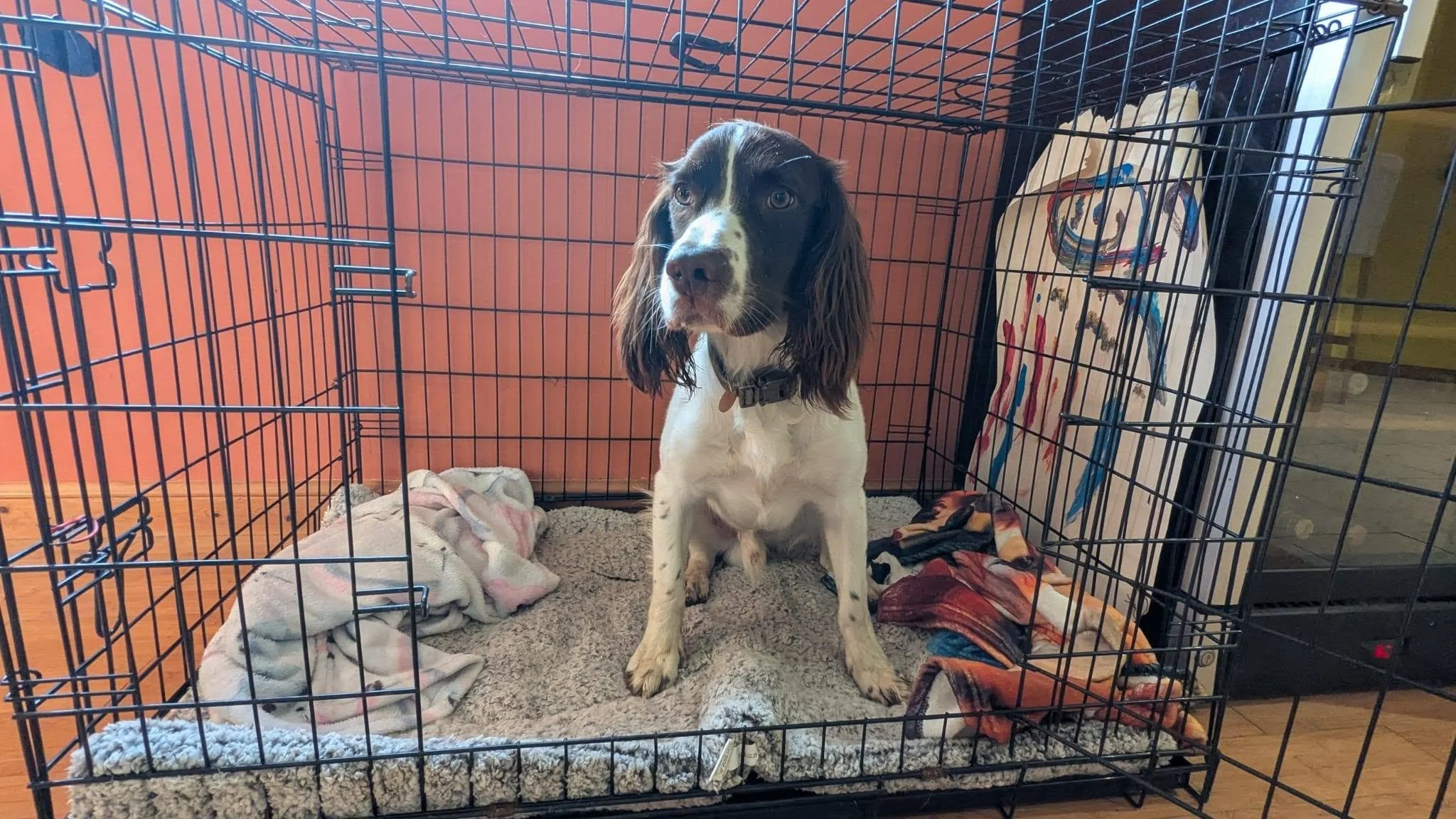 Hamish