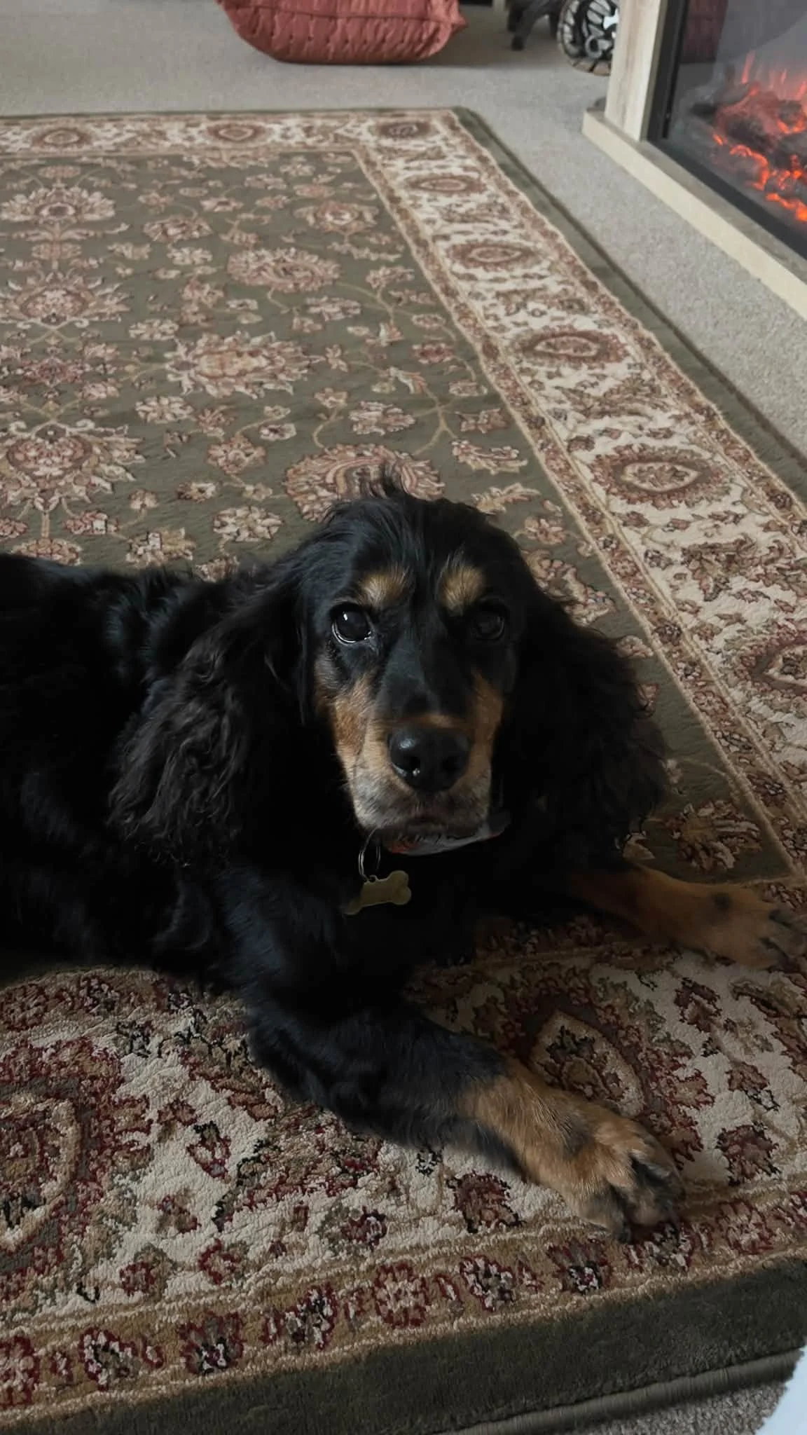 Maggie