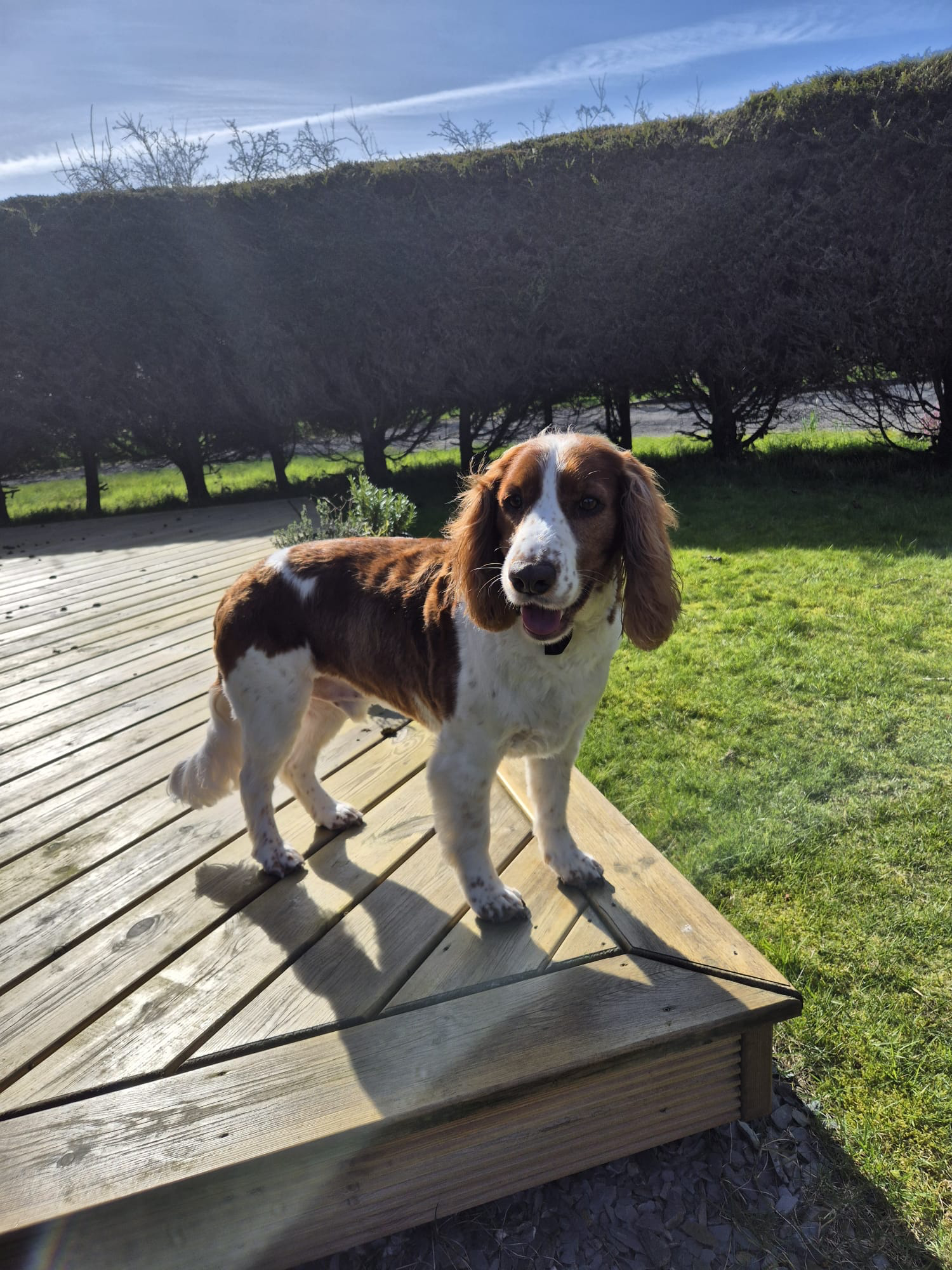 Zeus