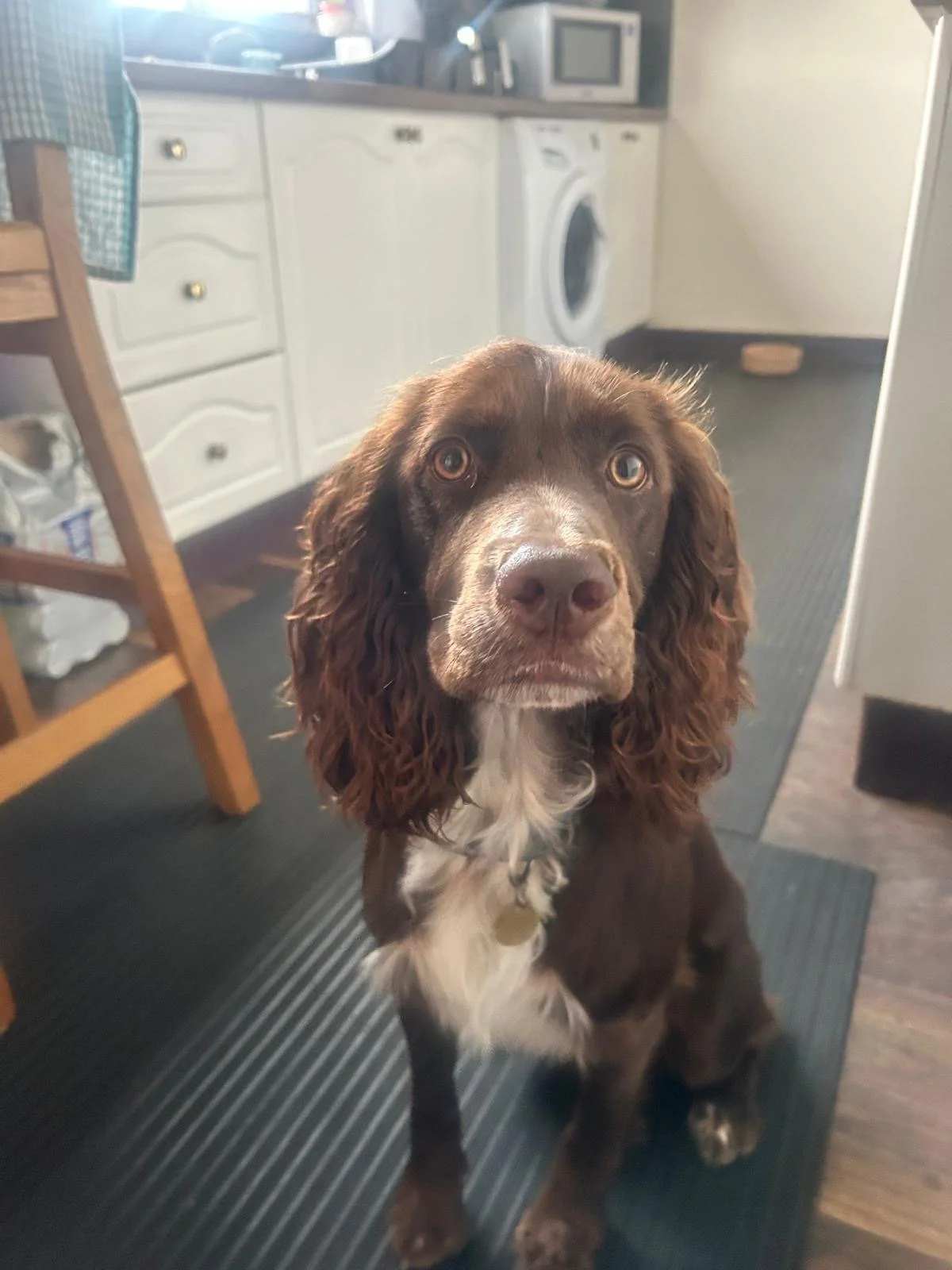 Tobi