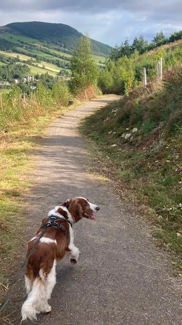 image3.jpeg