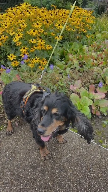 Maggie 15001721
