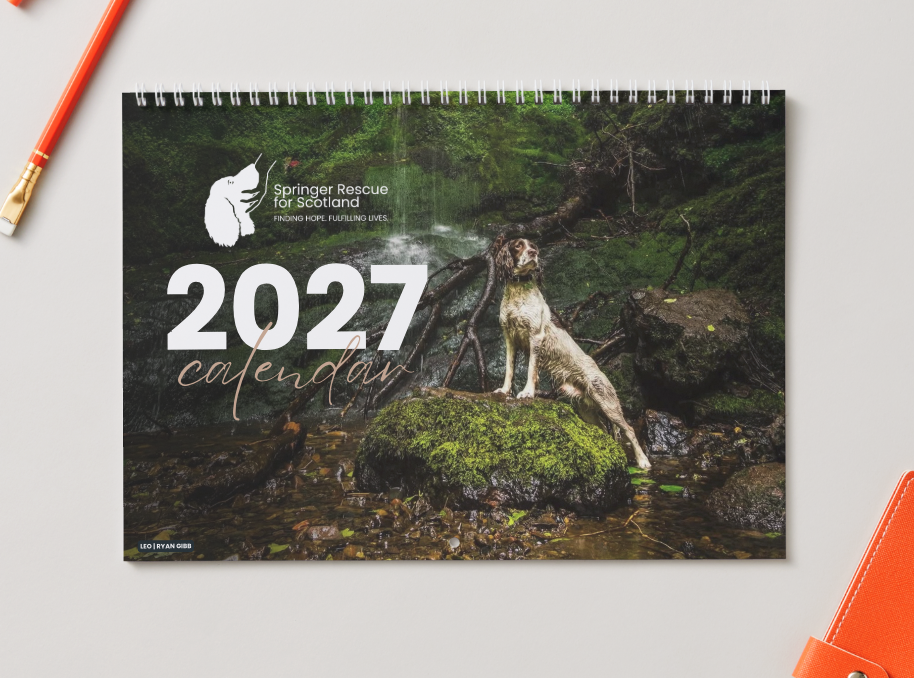 Screenshot 2026-10-08 at 12.32.17.png