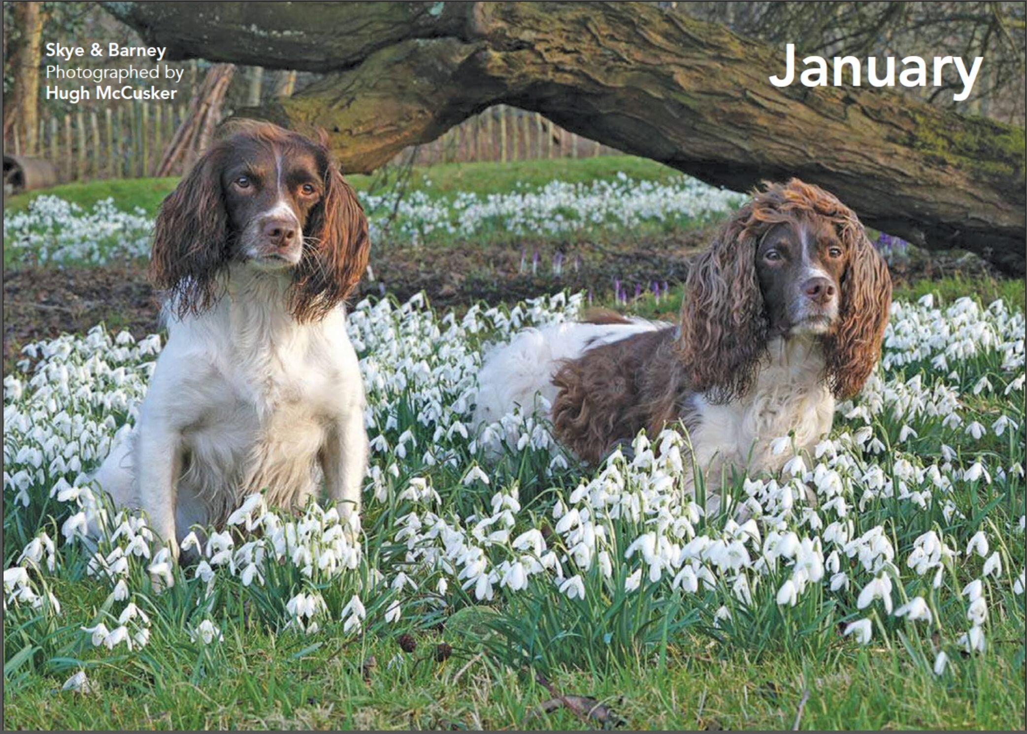 January-pdf.jpg