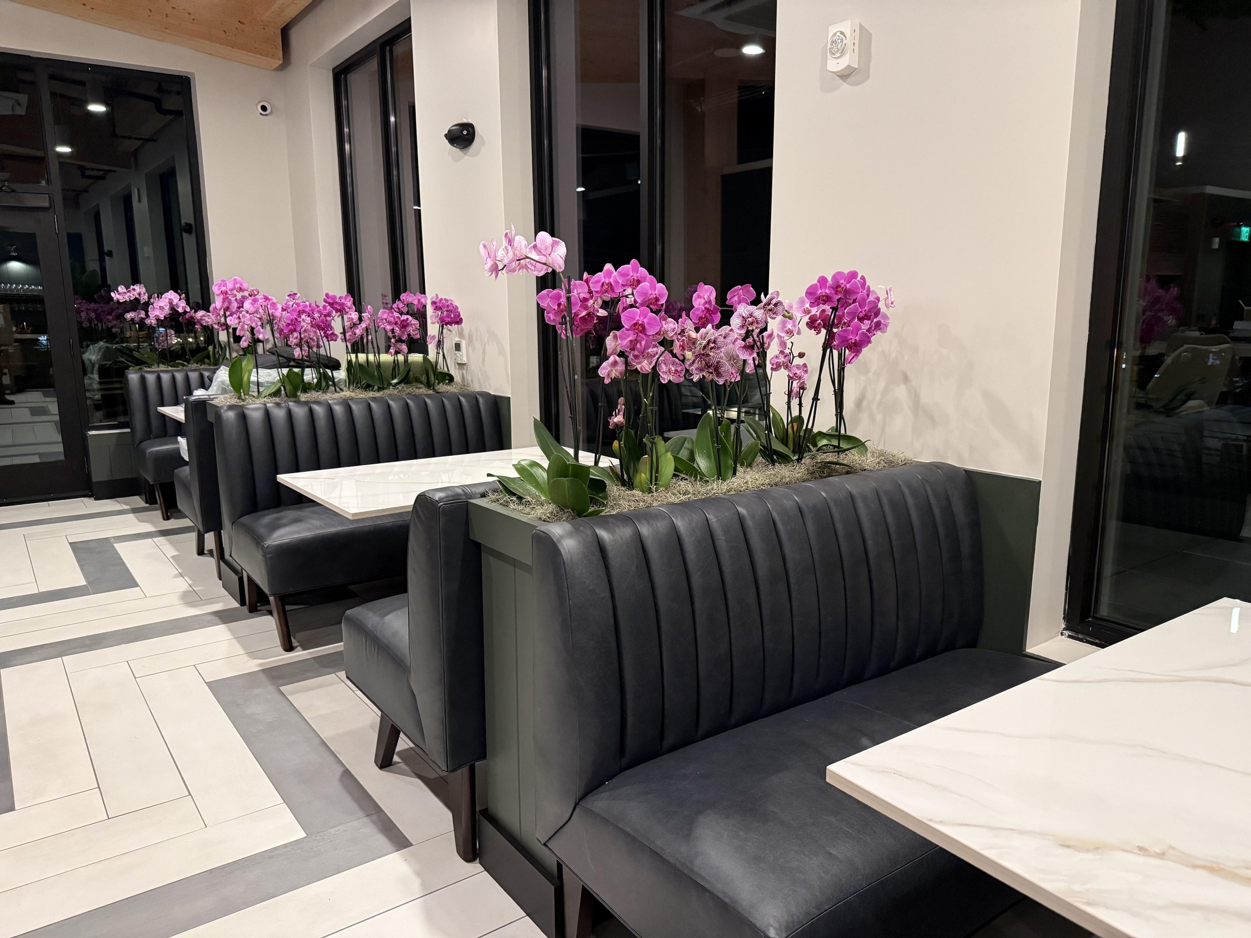 unnamed (12).jpgsds.jpg