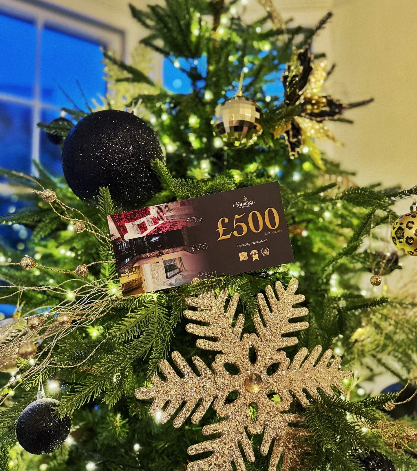 This Christmas, give something you can't wrap 🎁

Time together. Proper catch-ups. The luxury of doing nothing but being present with the people who matter.
Cranleigh vouchers = the gift of reconnection. From &pound;50.
While they're all unwrapping b