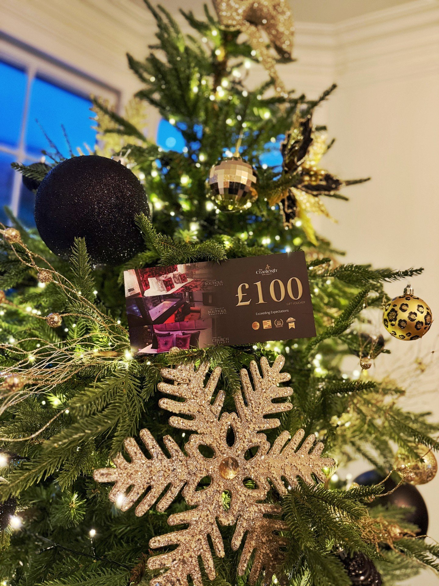 Best gift? Letting them decide 🎁

Cranleigh vouchers hand over the power. Luxury stay whenever they want it. However they want to spend it. From &pound;50. Zero regifting potential 💕

Order yours:  https://thecranleigh.com/shop/p/luxury-gift-vouche