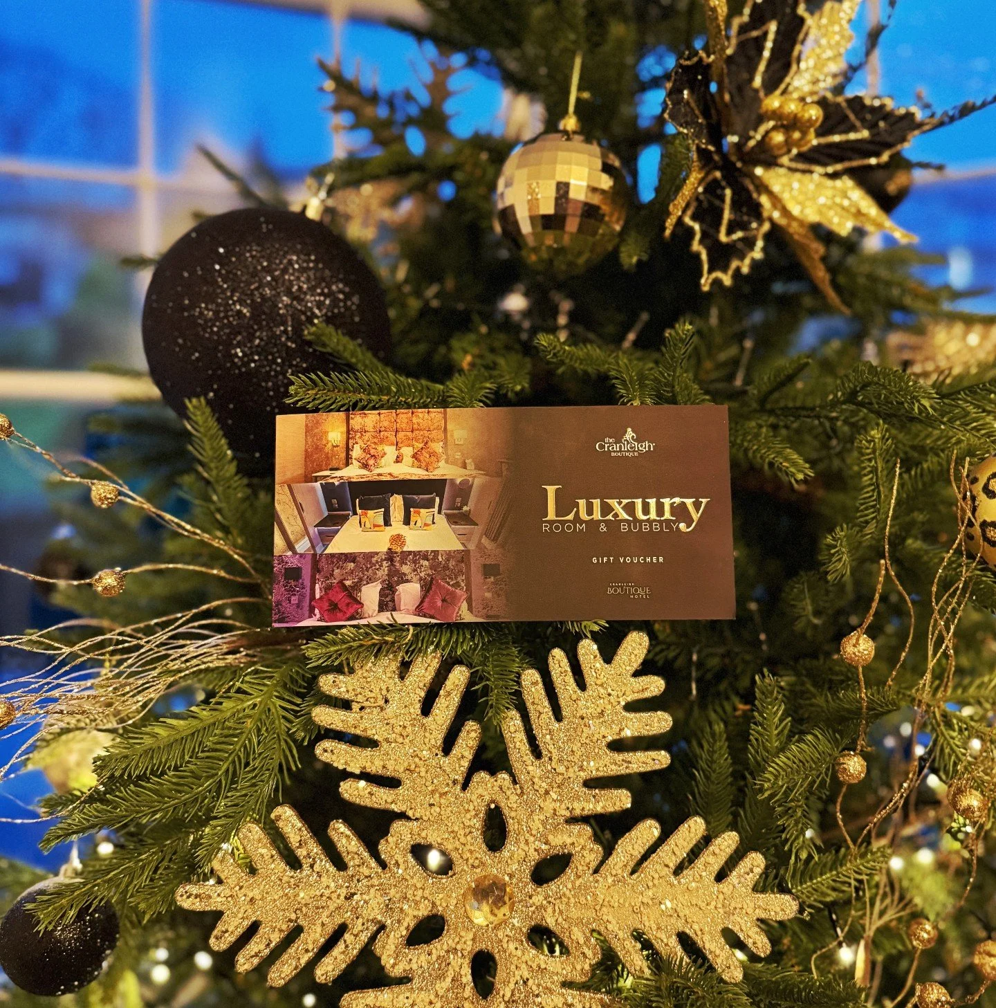Gift the ultimate indulgence: A &pound;180 voucher for an intimate, luxurious Cranleigh night with champagne. 🥂

Order yours:  https://thecranleigh.com/shop/p/luxury-gift-vouchers

#lakedistrict #staycation #couplegoals #giftvouchers #gifts #newlyma
